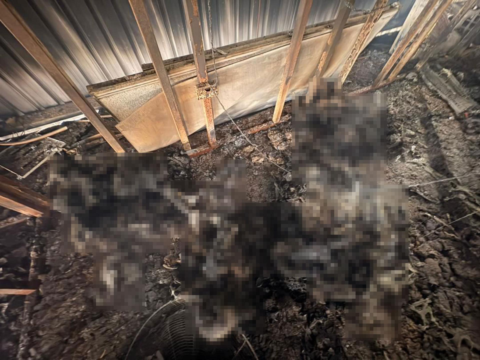 3人不幸葬身火海。