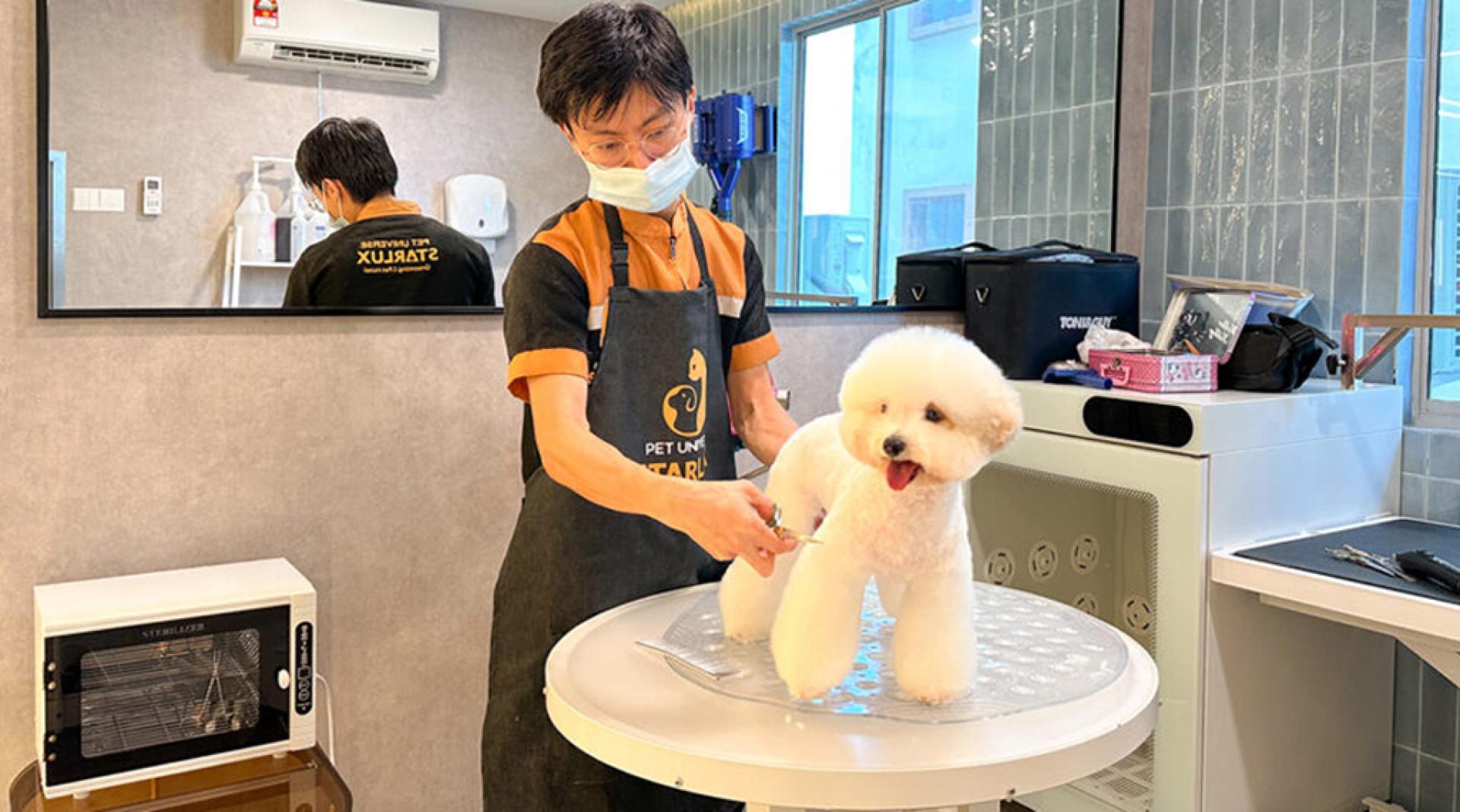 由于人们越来越爱护宠物，因此舍得为他们的宠物花钱。