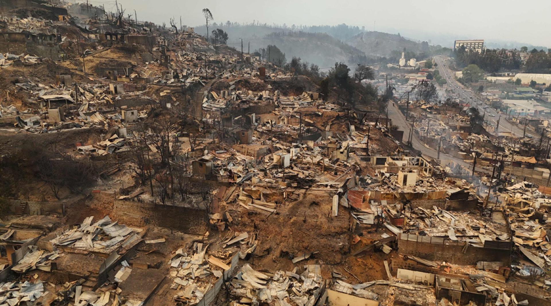 大火一过，一切化为乌有。