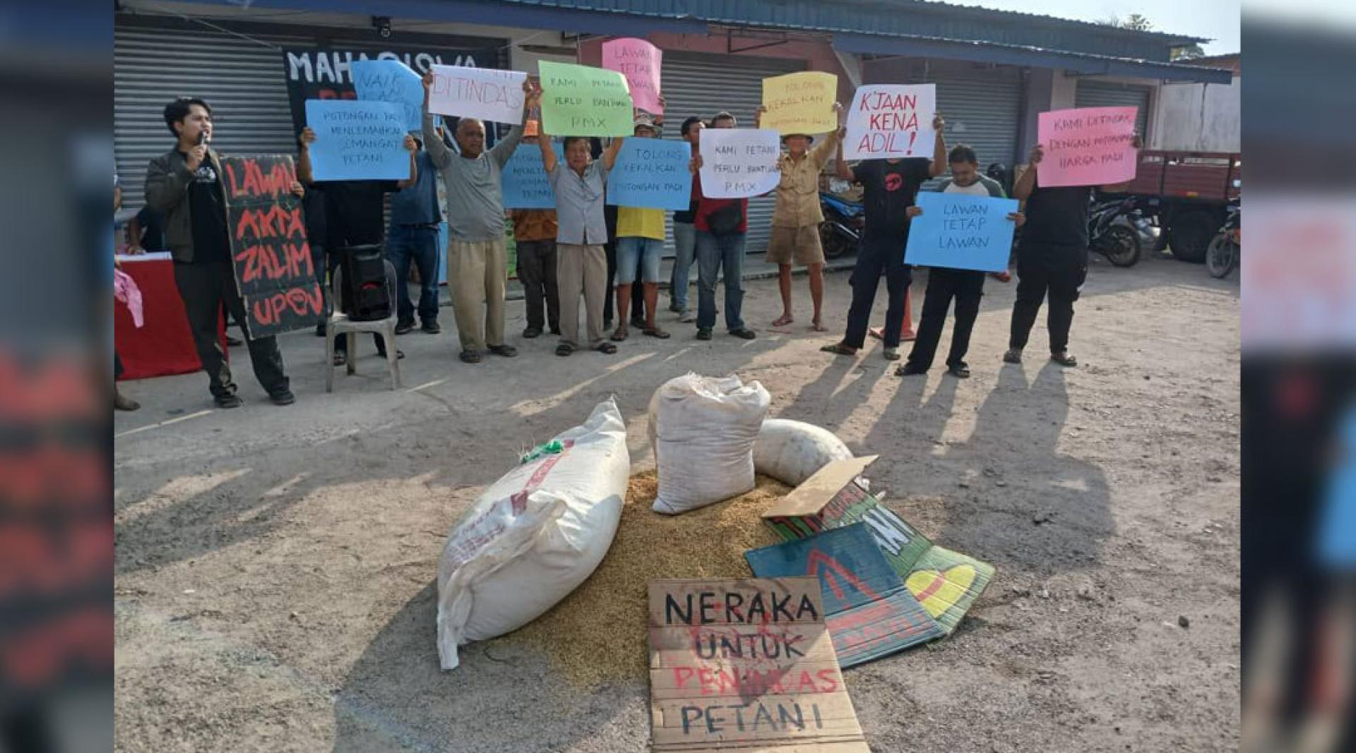 威北稻农要求政府着手解决调高扣水率对农民所造成的影响。