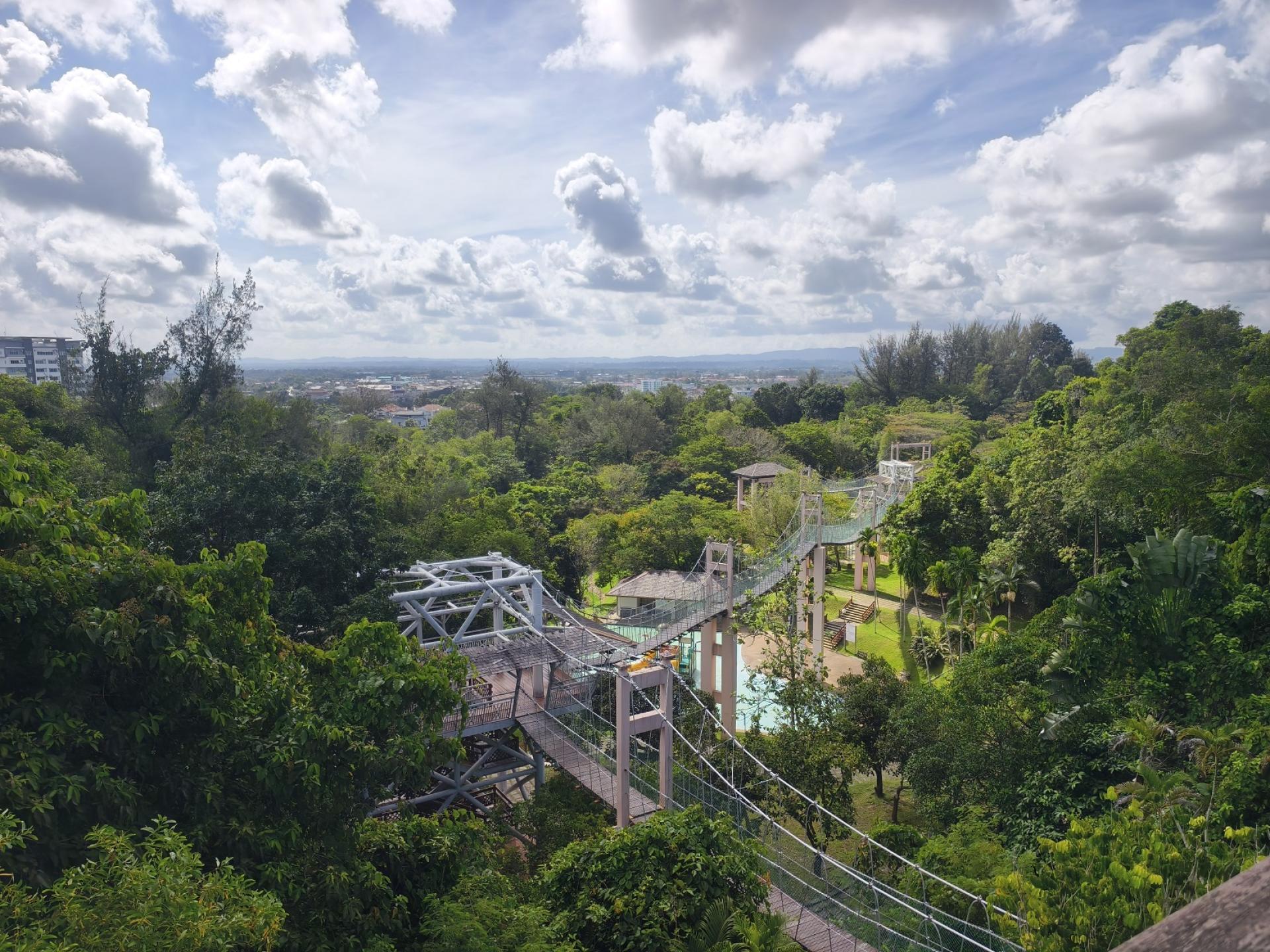 美里市政局决定暂时关闭涉及安全隐患的相关观景区域，而非全面关闭公园。