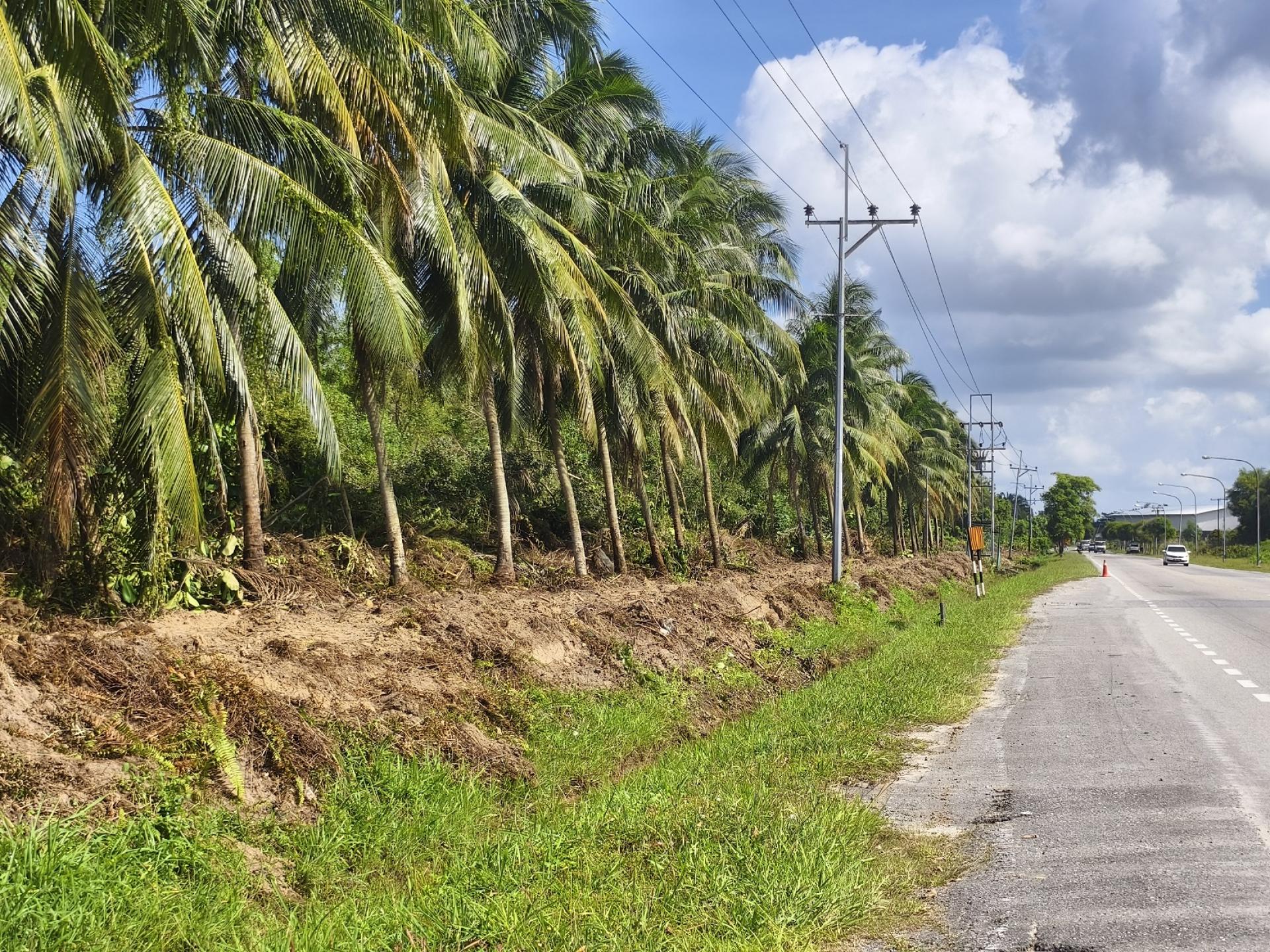 清理工程挖除排水沟旁的杂草并堆放在一侧，居民担心下雨后泥沙再度流入沟渠，加剧排水问题。