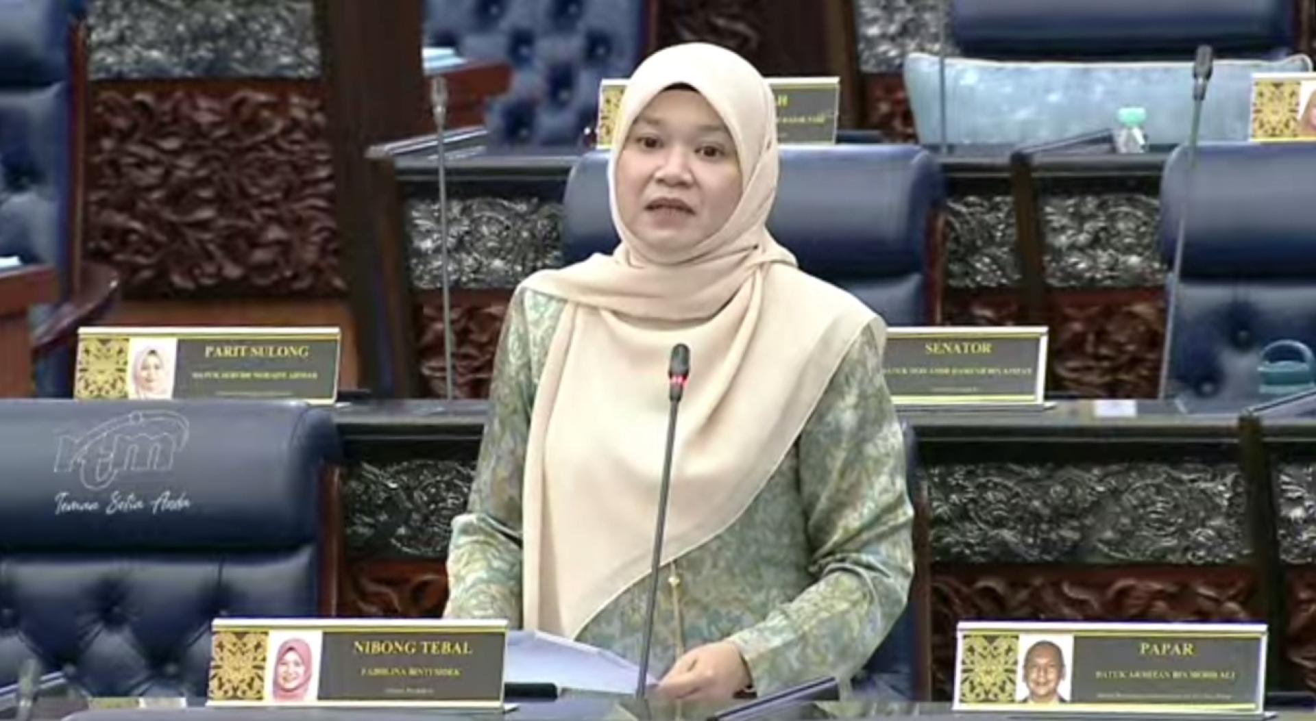 法丽娜强调，落实6岁入学小学一年级并非仓促决定，当局已经做好规划。