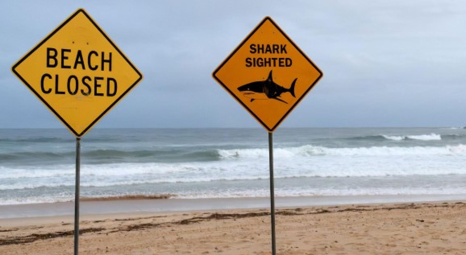 澳洲平均每年发生20起鲨鱼攻击事件，其中致死案例不到3件。