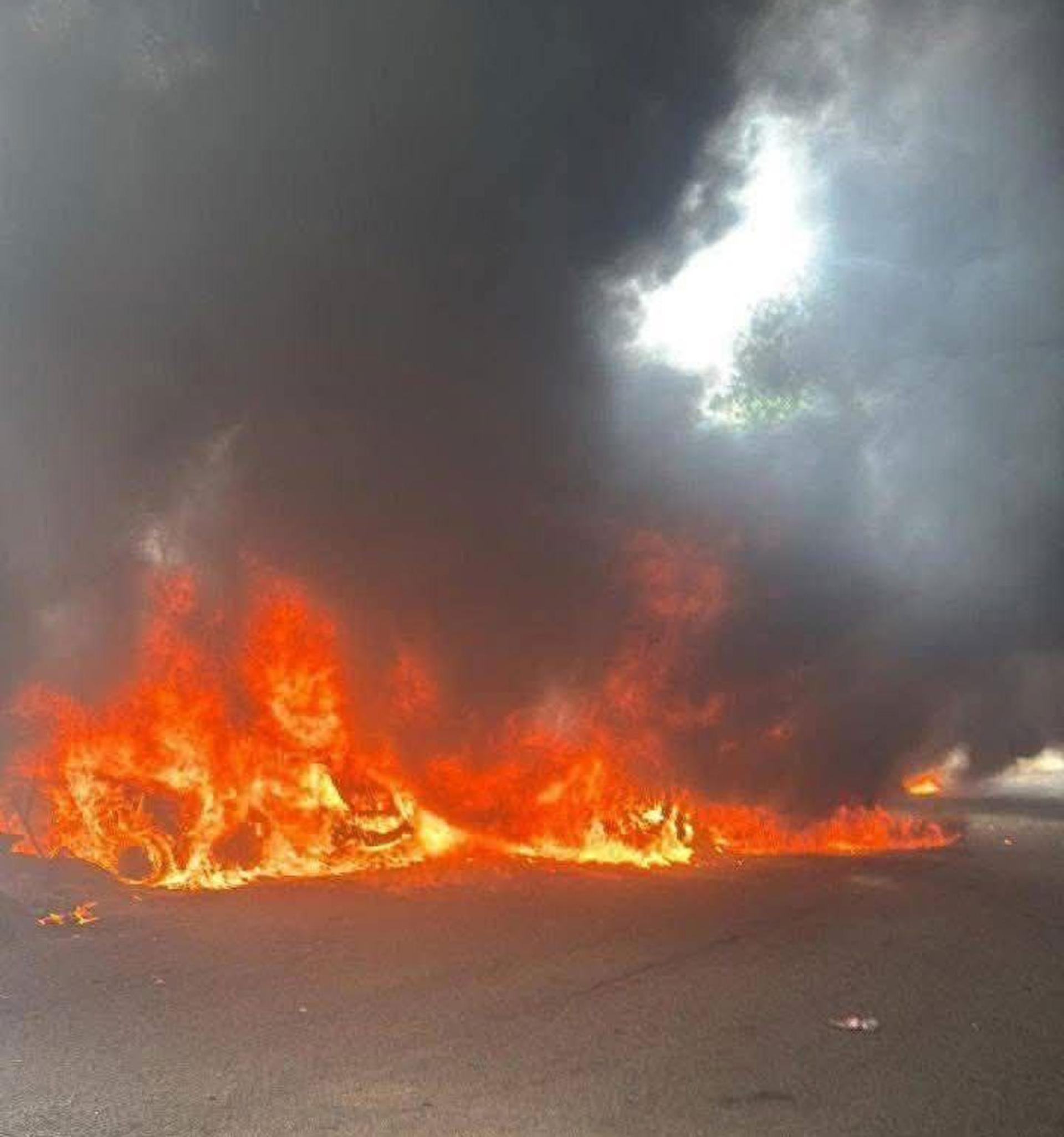 丛林失火蔓延。