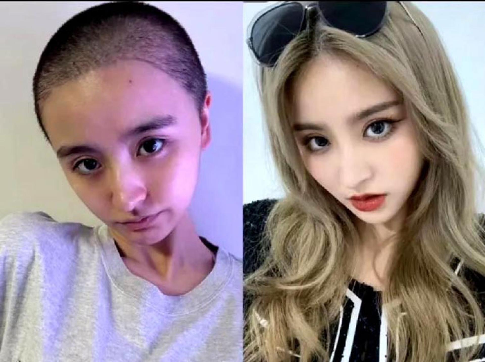 金子涵去年4月突然退出演艺圈，后来剃平头让大家吓了一跳。