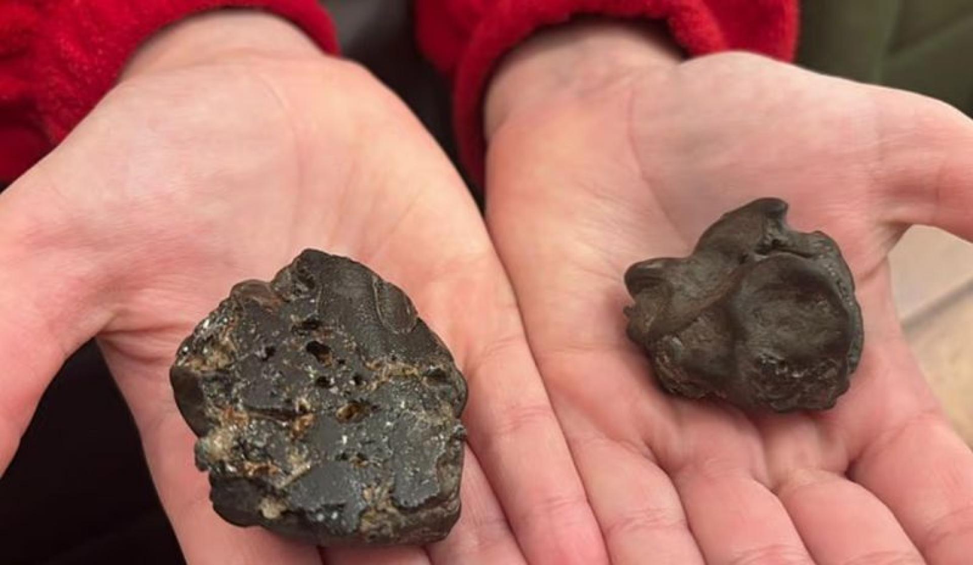 9岁的阿丽亚娜在沙滩捡到一颗可能比地球还古老的陨石。