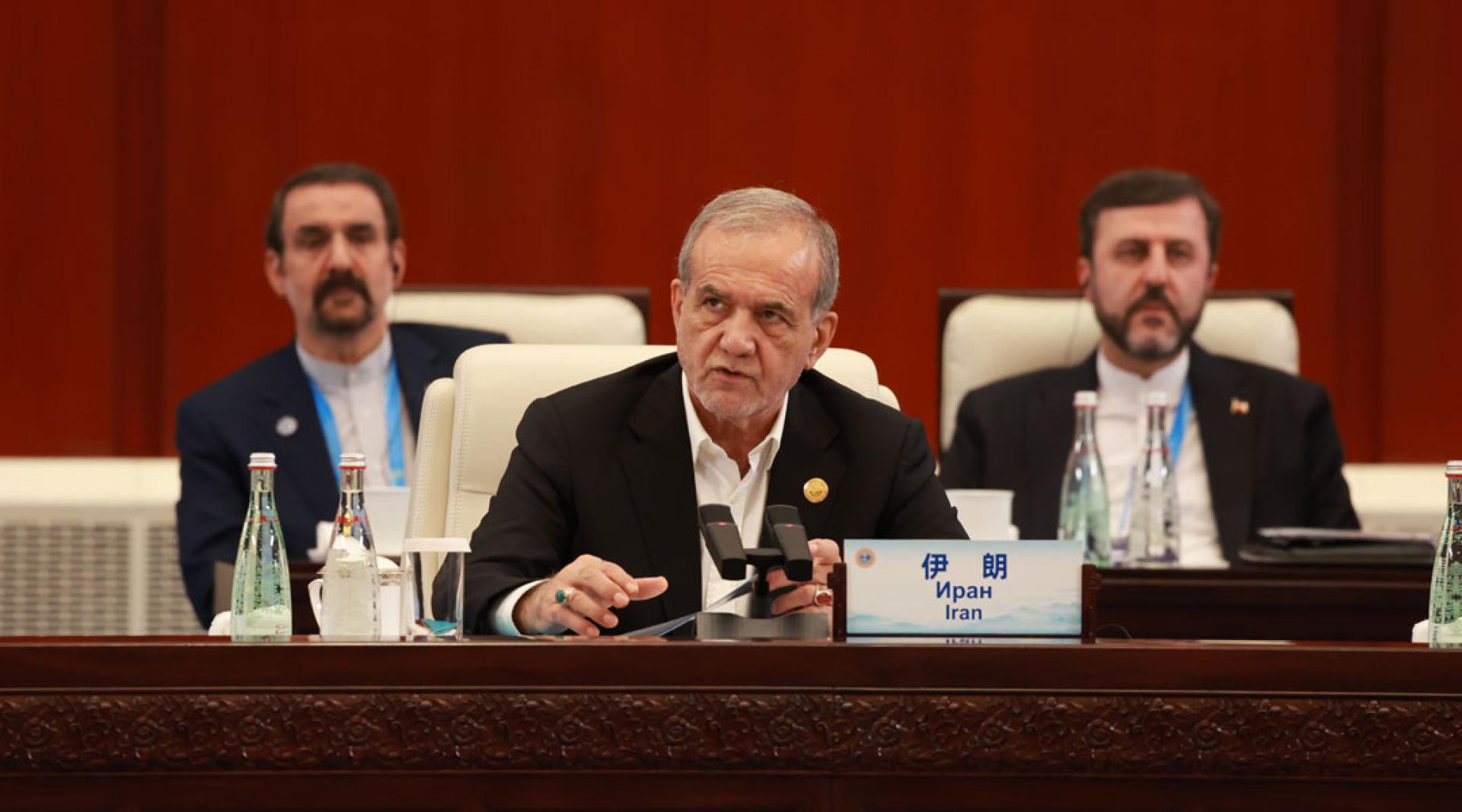 佩泽希齐扬。（新华社档案照）