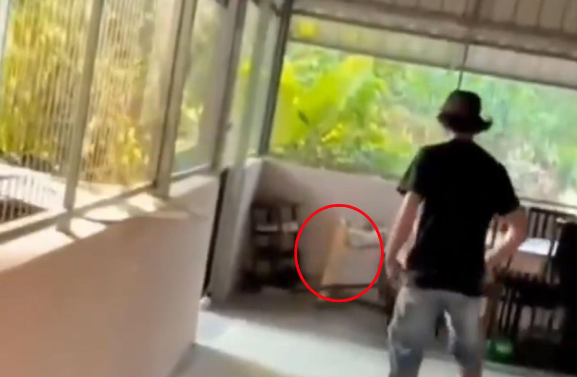 眼睛蛇王充满敌意。