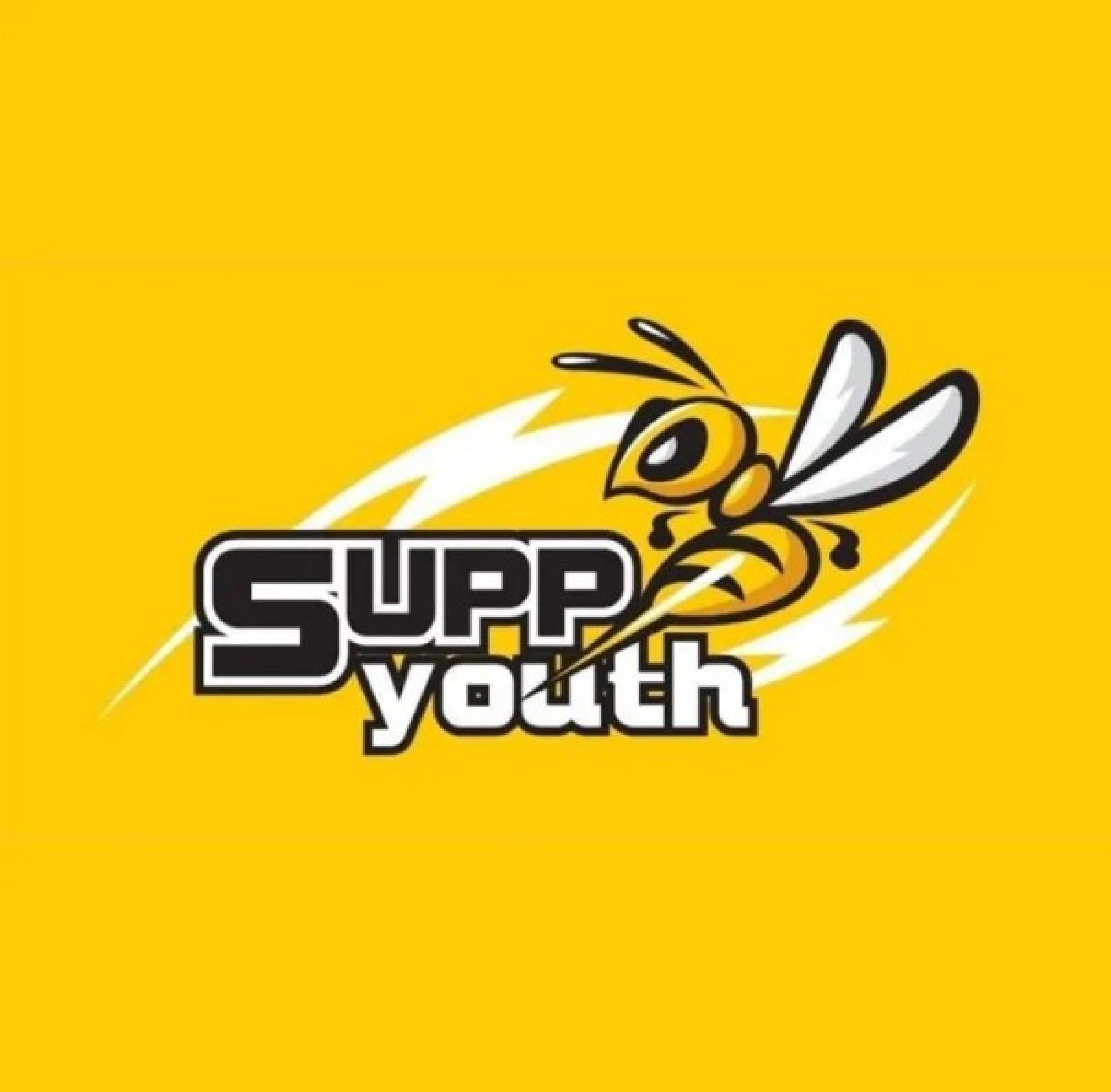 砂拉越人联党青年团标志。