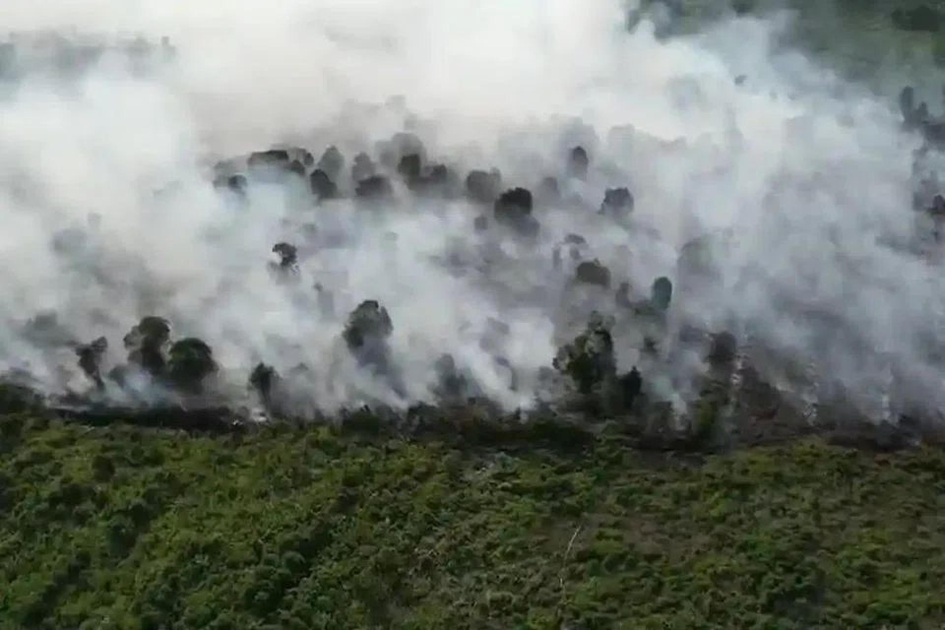 廖内省当局指出，火灾已扑灭，目前正在进行降温作业。