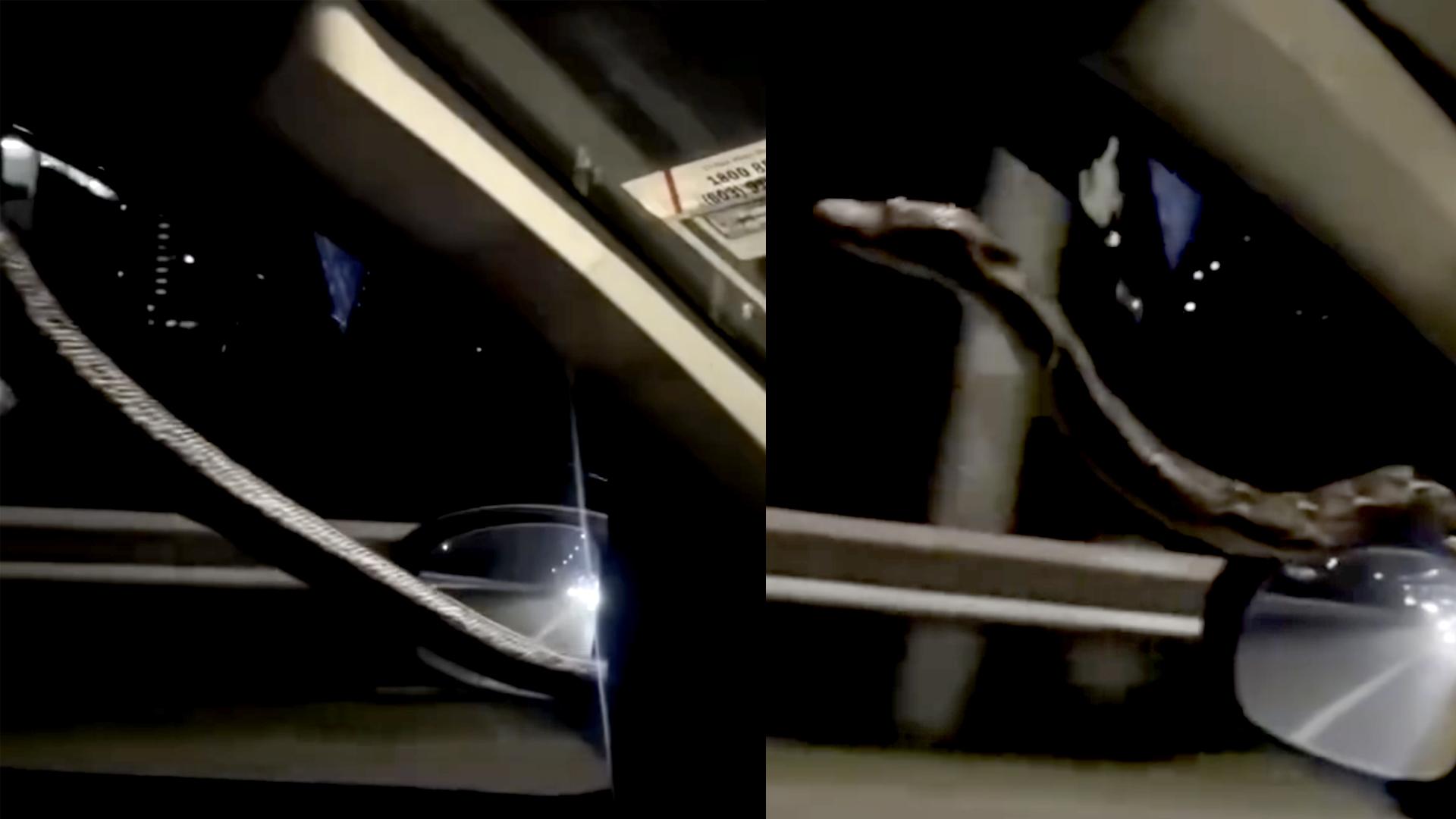 一辆在驾驶的车窗外，可清楚看见一条蛇在车上爬行