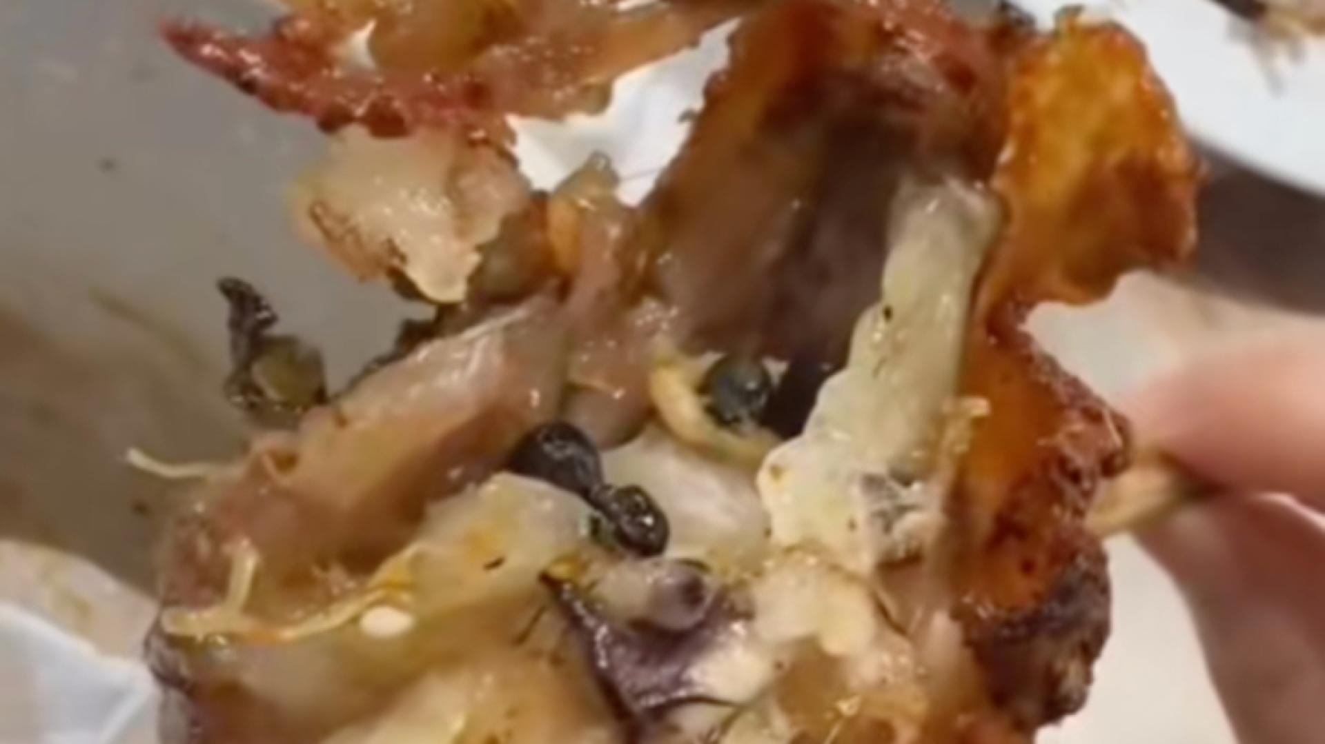 羊尾部位发现大量未清理干净的粪便。