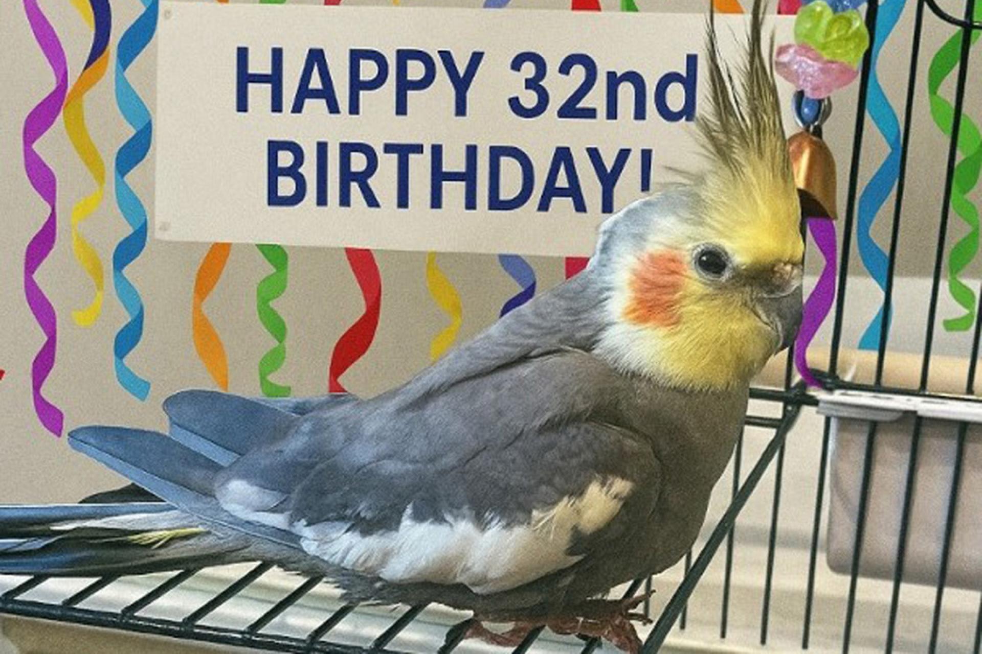 桑尼去年庆祝32岁生日。