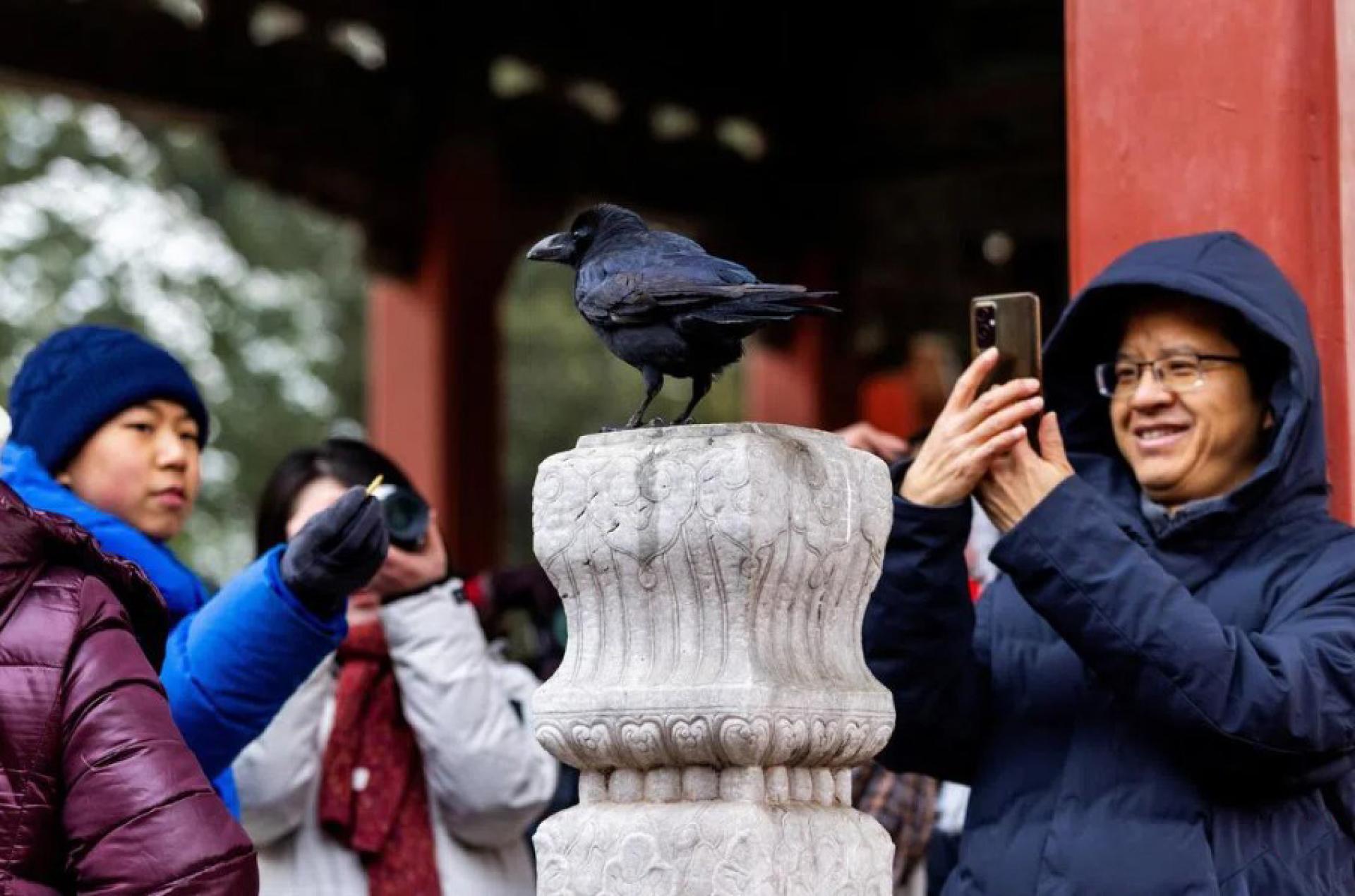 游客今年1月18日在故宫参观。