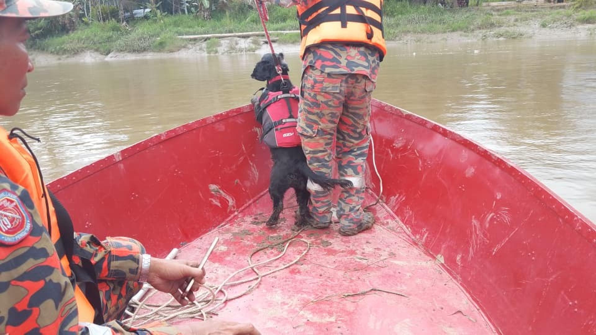 训犬员杰圣及搜救犬“Bella”也抵达现场支援。