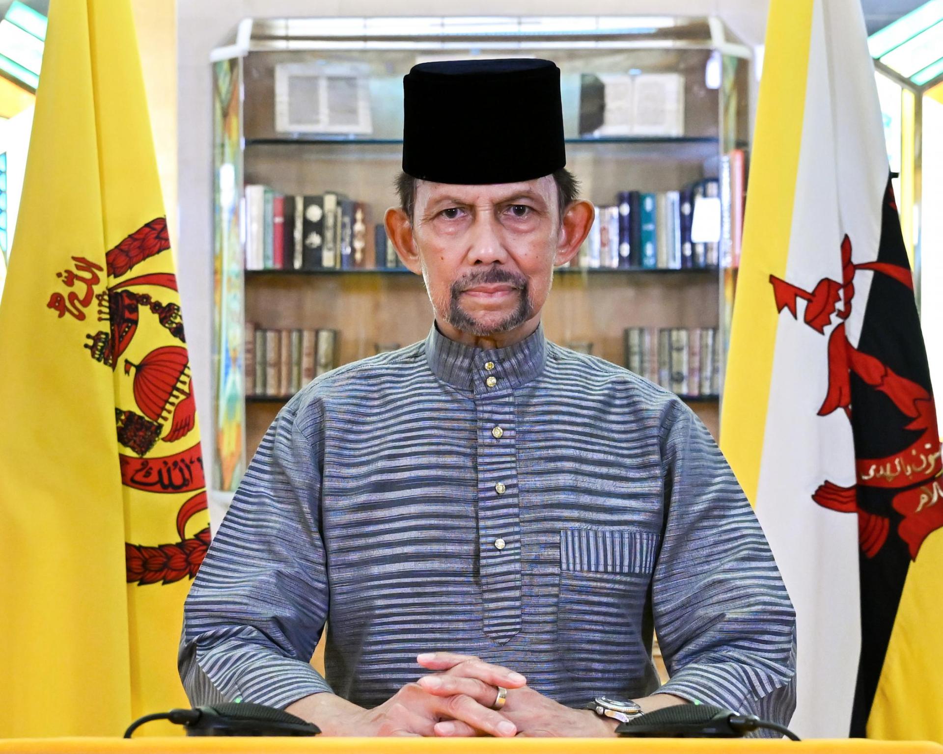 苏丹陛下发表御词