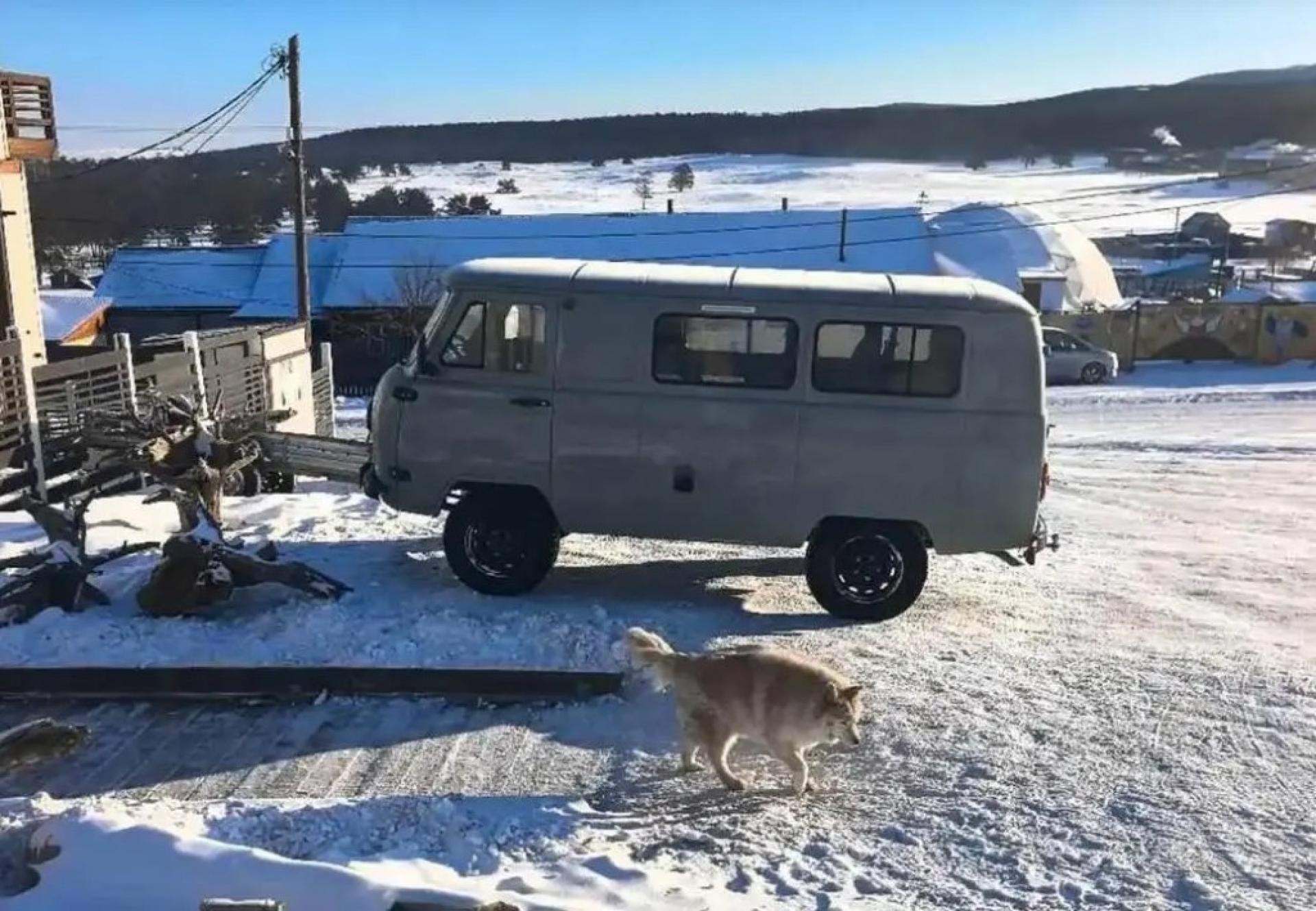 罹难的中国游客所搭乘的同款汽车。