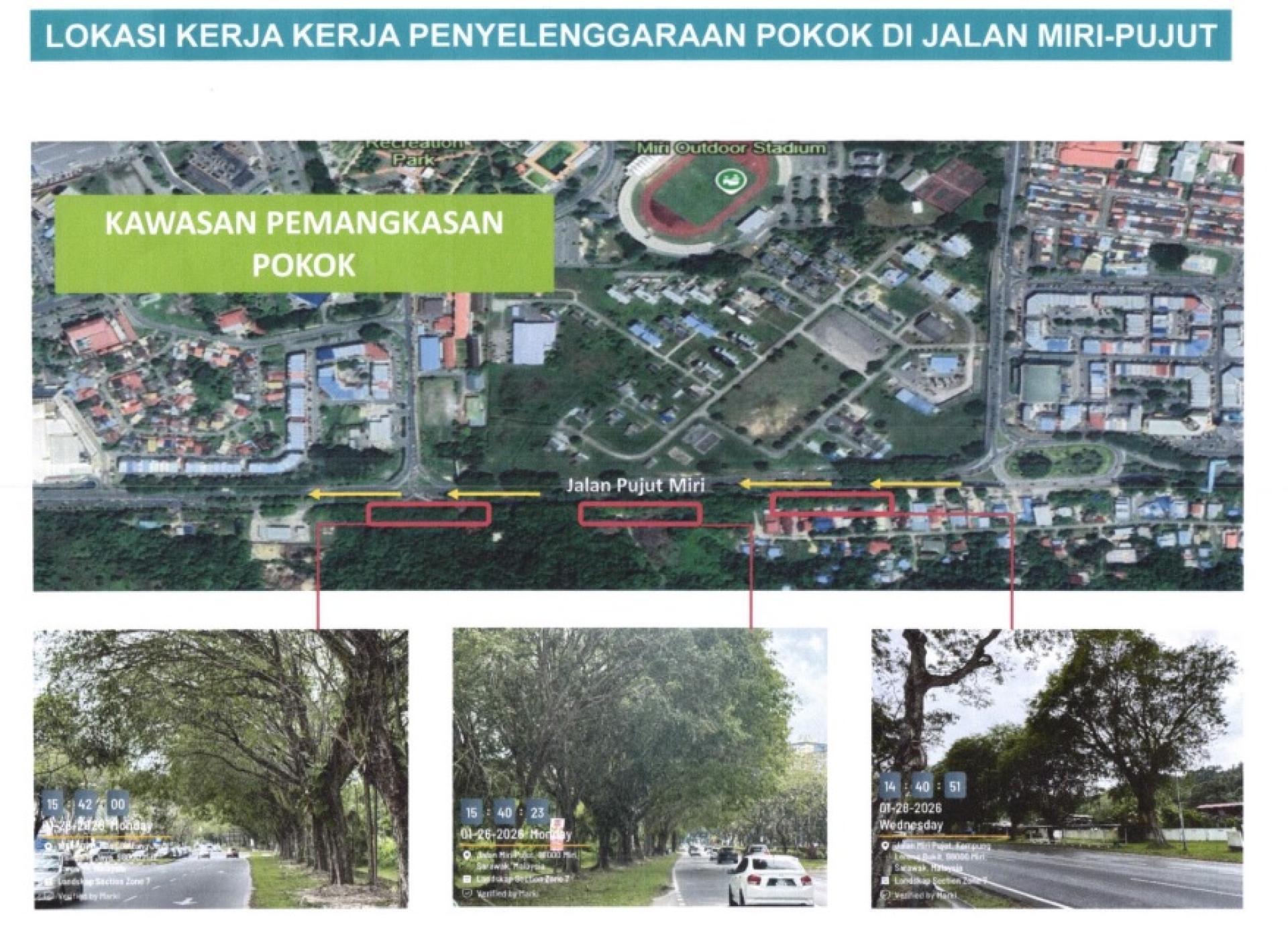 美里市政局将在美里至埔奕路展开树木修剪工程，涉及警区总部对面巴士站至国油油站路段。