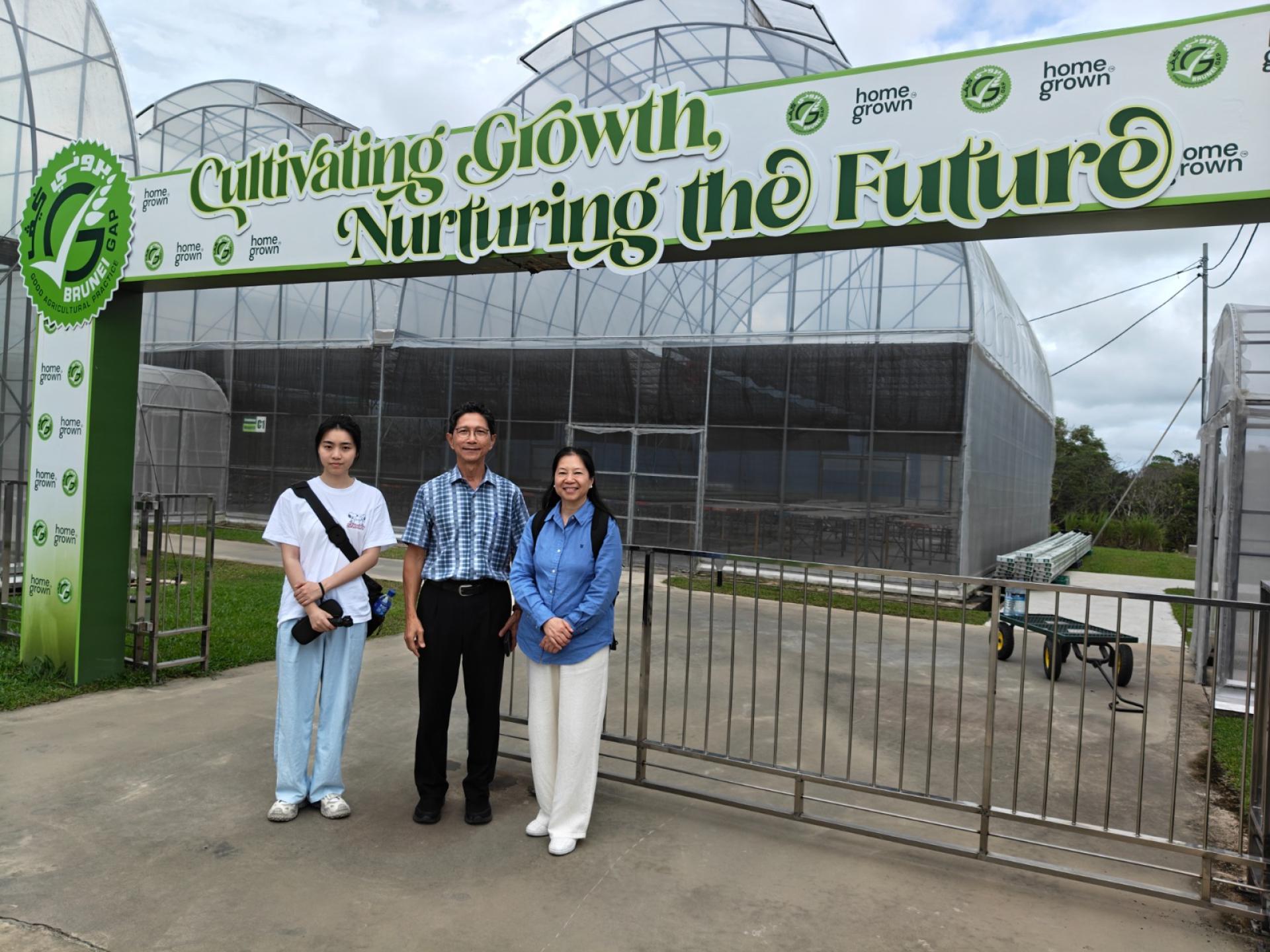 潘艳勤（右）、梁思畅（左）在沈宗祥的介绍下，参观 “汶莱本地农产（Home Grown）”蔬菜种植温室。