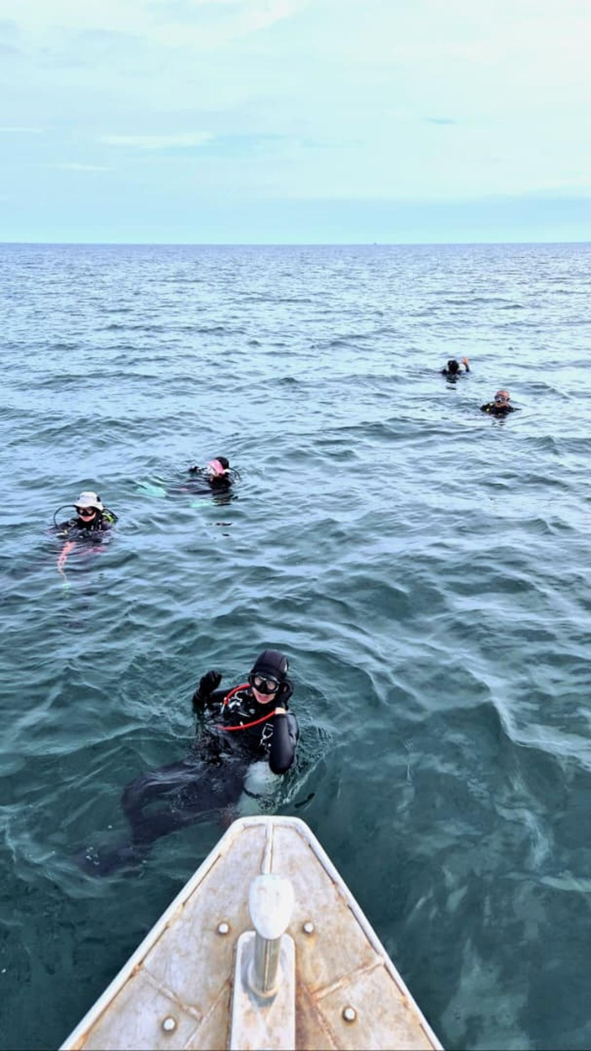 目前正值毛虾季节，美里实务地珊瑚礁国家公园海中的浮游生物增多，吸引大型海洋生物靠近觅食，潜水员有机会邂逅鲸鲨（Whale Shark）。