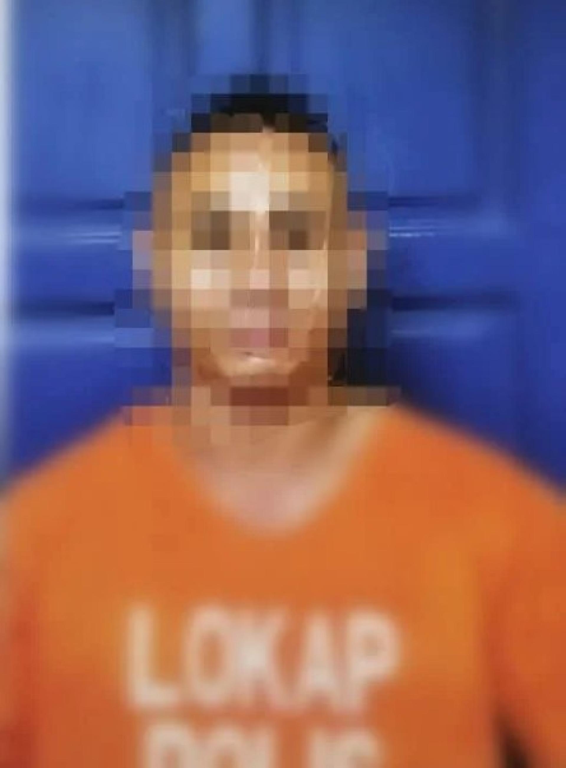 被告被判四个月监禁。