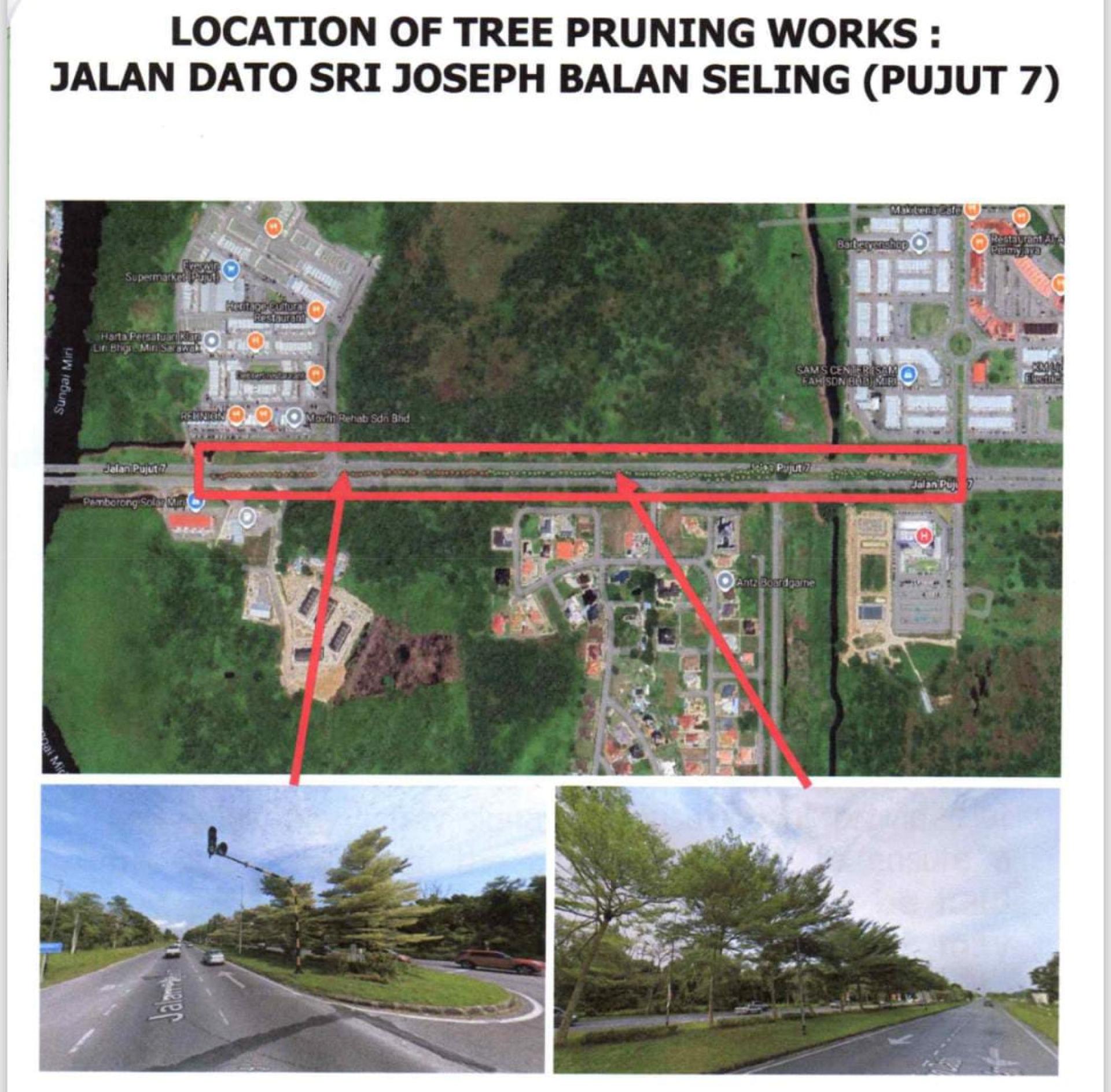 美里市政局将在埔奕7的拿督斯里约瑟巴兰塞林路展开树木修剪工程，施工日期为3月9日至21日。