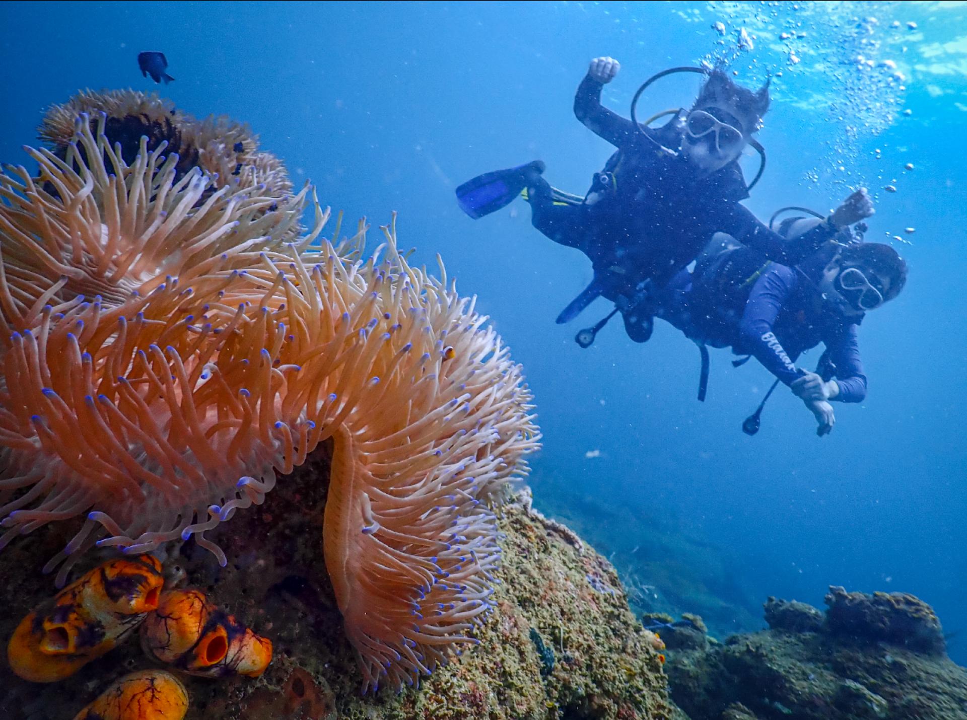 美里实务地珊瑚礁国家公园即日起重新开放，民众可前往该国家公园进行海上休闲活动。
