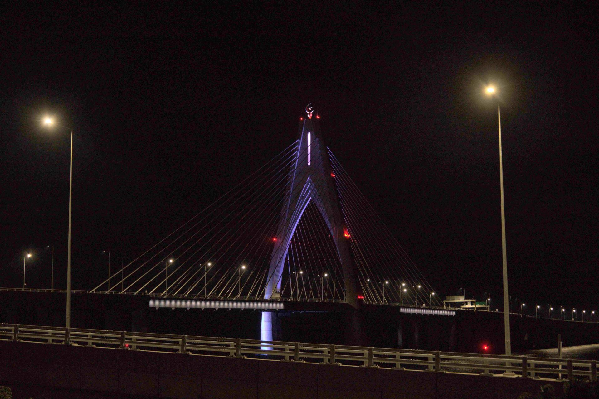 苏丹哈吉奥马阿里赛福丁大桥亮紫色灯光