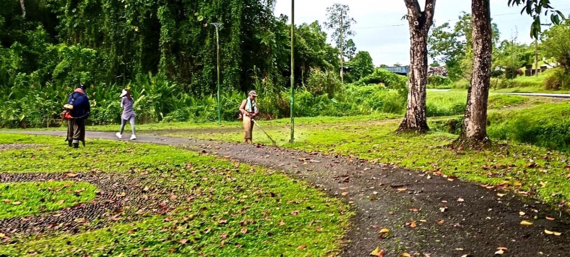 一名慢跑者（中）经过两名在靠近公众的慢跑路割草的工作人员。