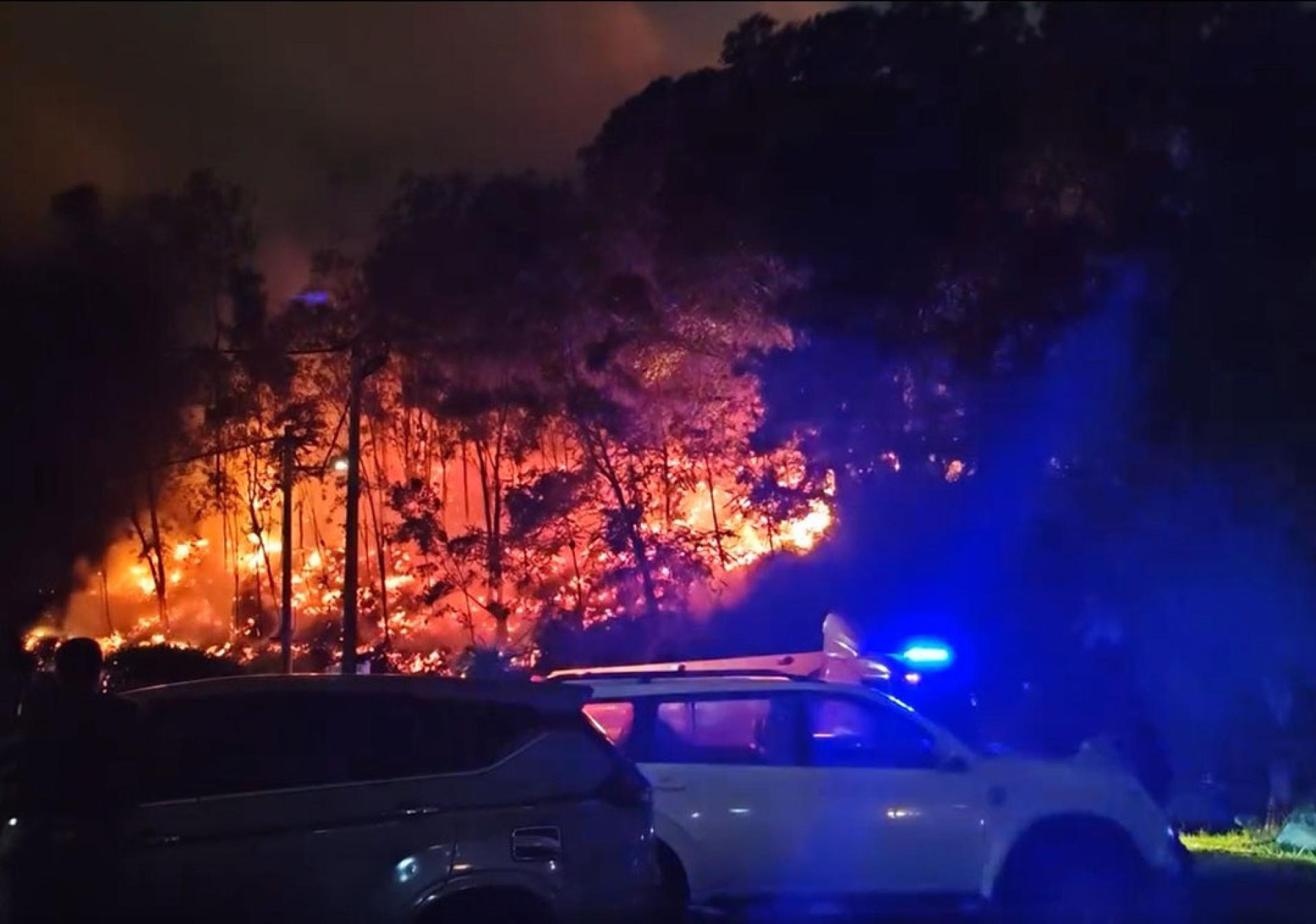 本查加里尔林火狂烧10多小时，最终在凌晨成功被扑灭。