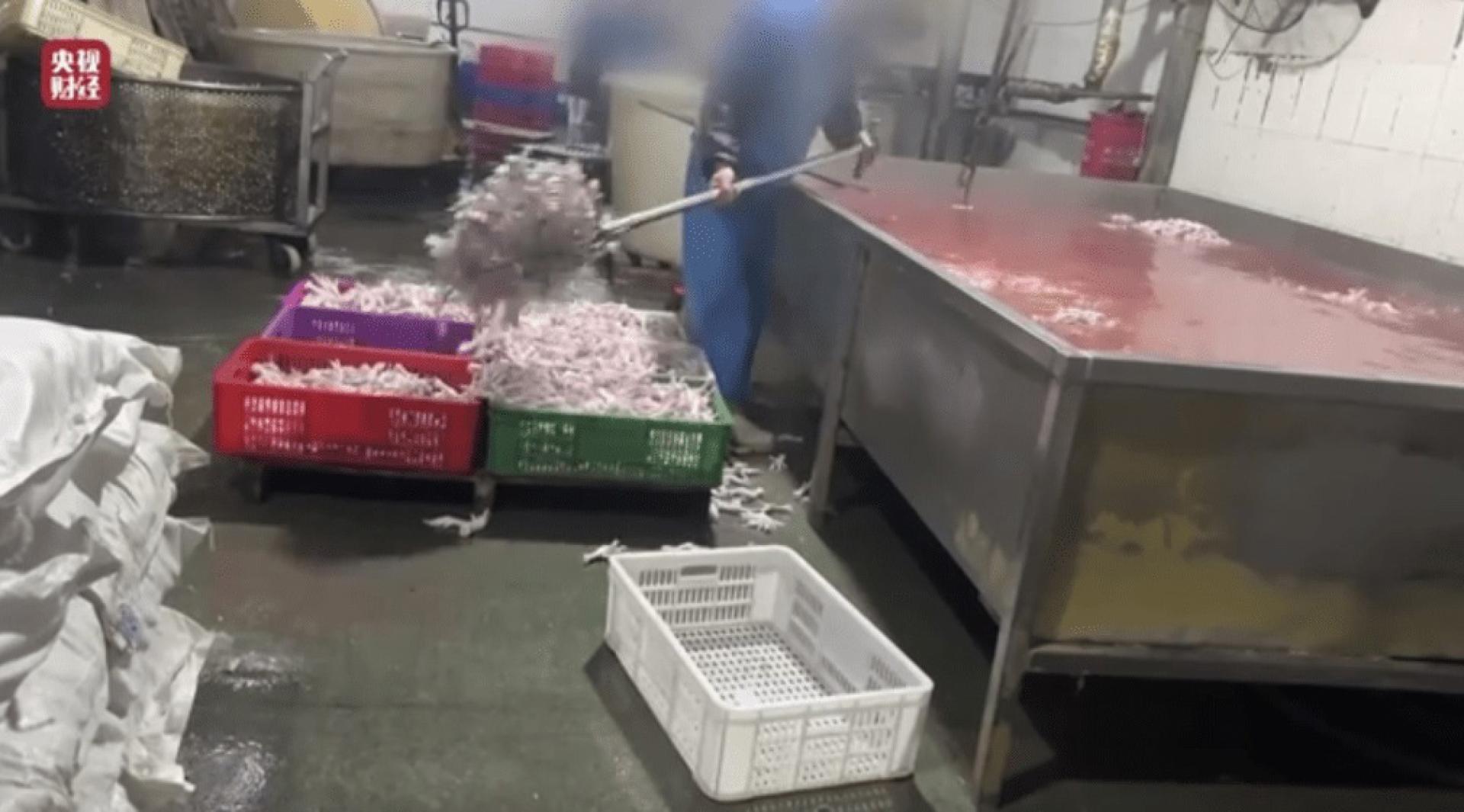 央视调查揭开惊人内幕。