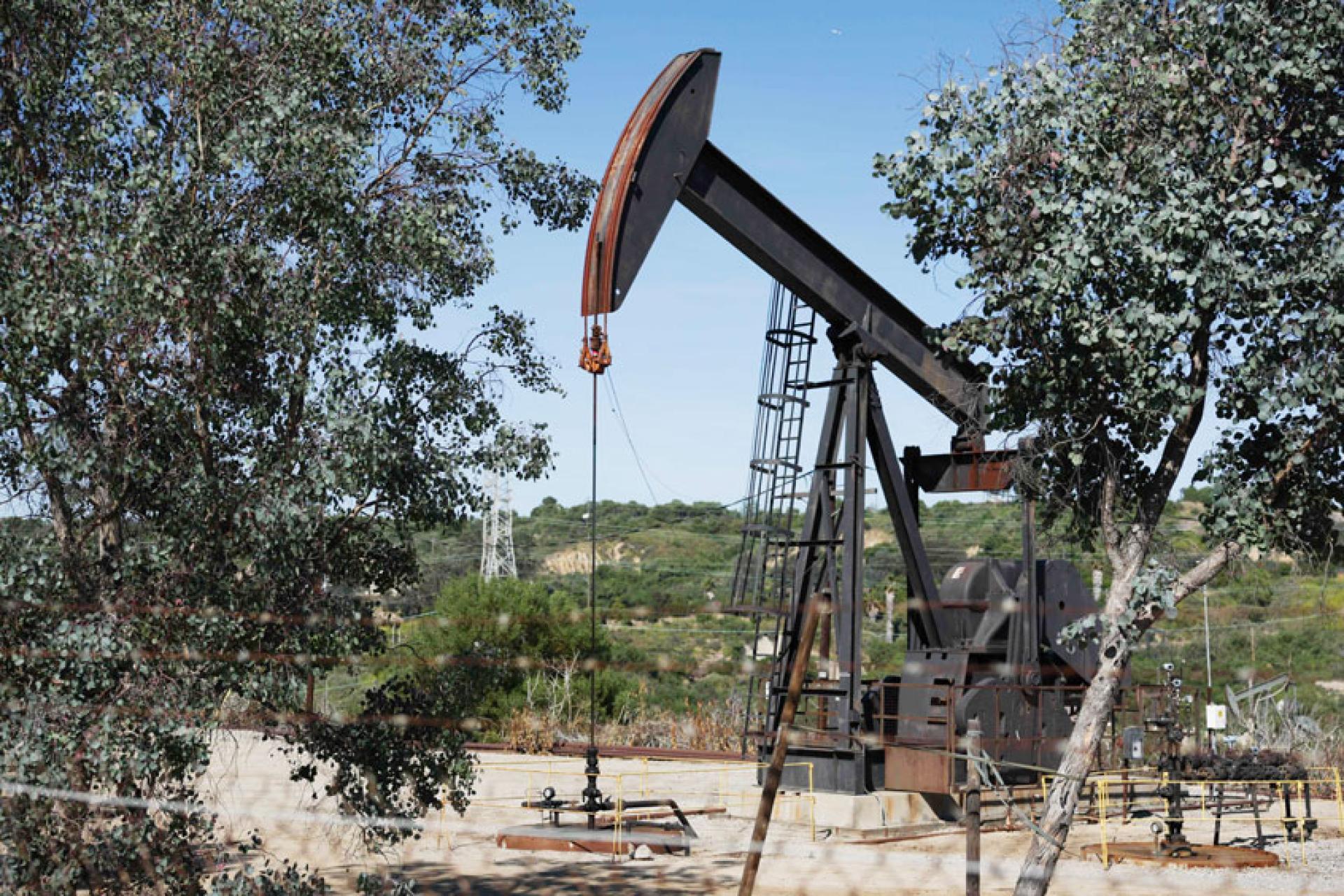 国际油价继续往上冲。