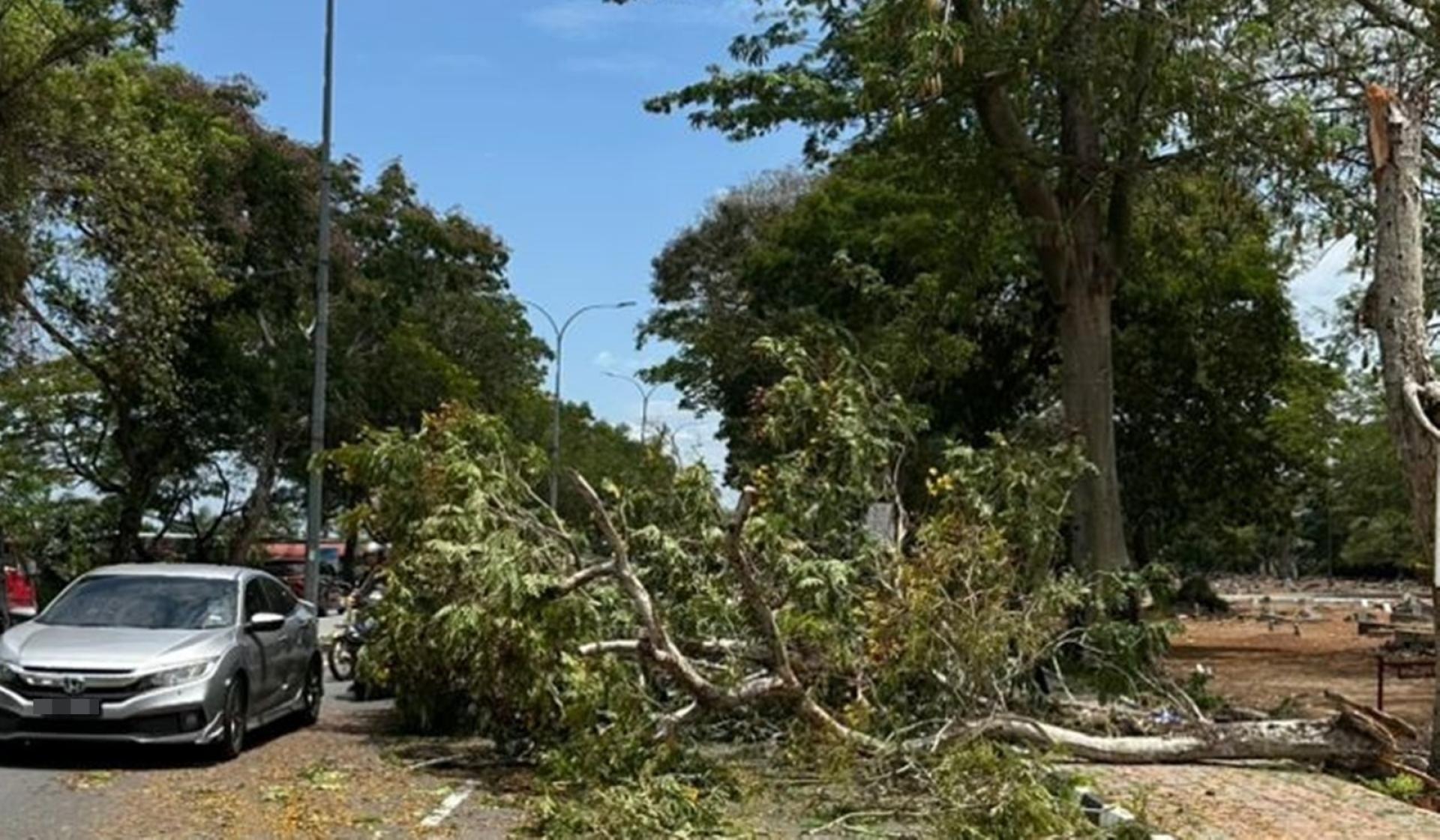 吉隆坡地庭谕令吉隆坡市长支付82万4180令吉，赔偿予一对痛失儿子的夫妇。他们的儿子遭DBKL管辖的树木倒下压中身亡。