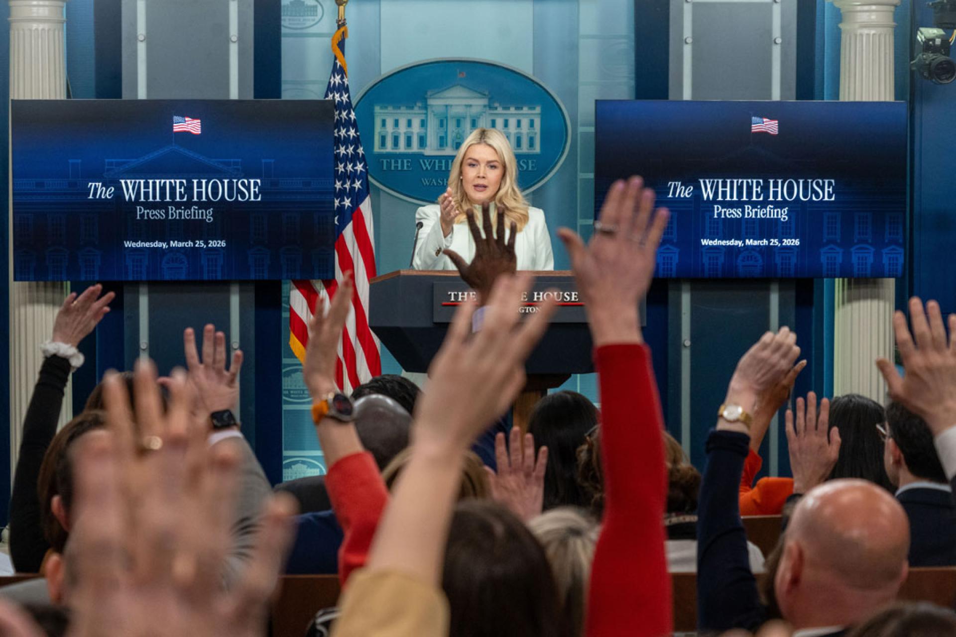 莱维特出席记者会。（图：新华社）