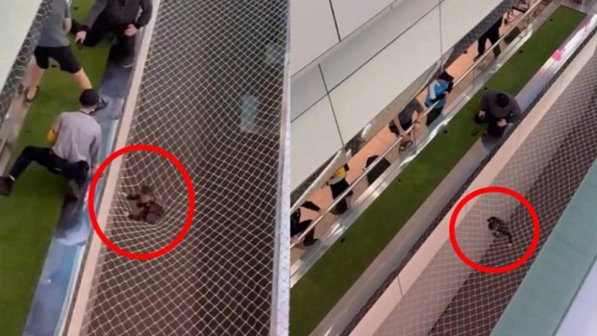 一名7岁男童疑因独自玩耍，不慎跌落扶手电梯旁的防堕安全网上。