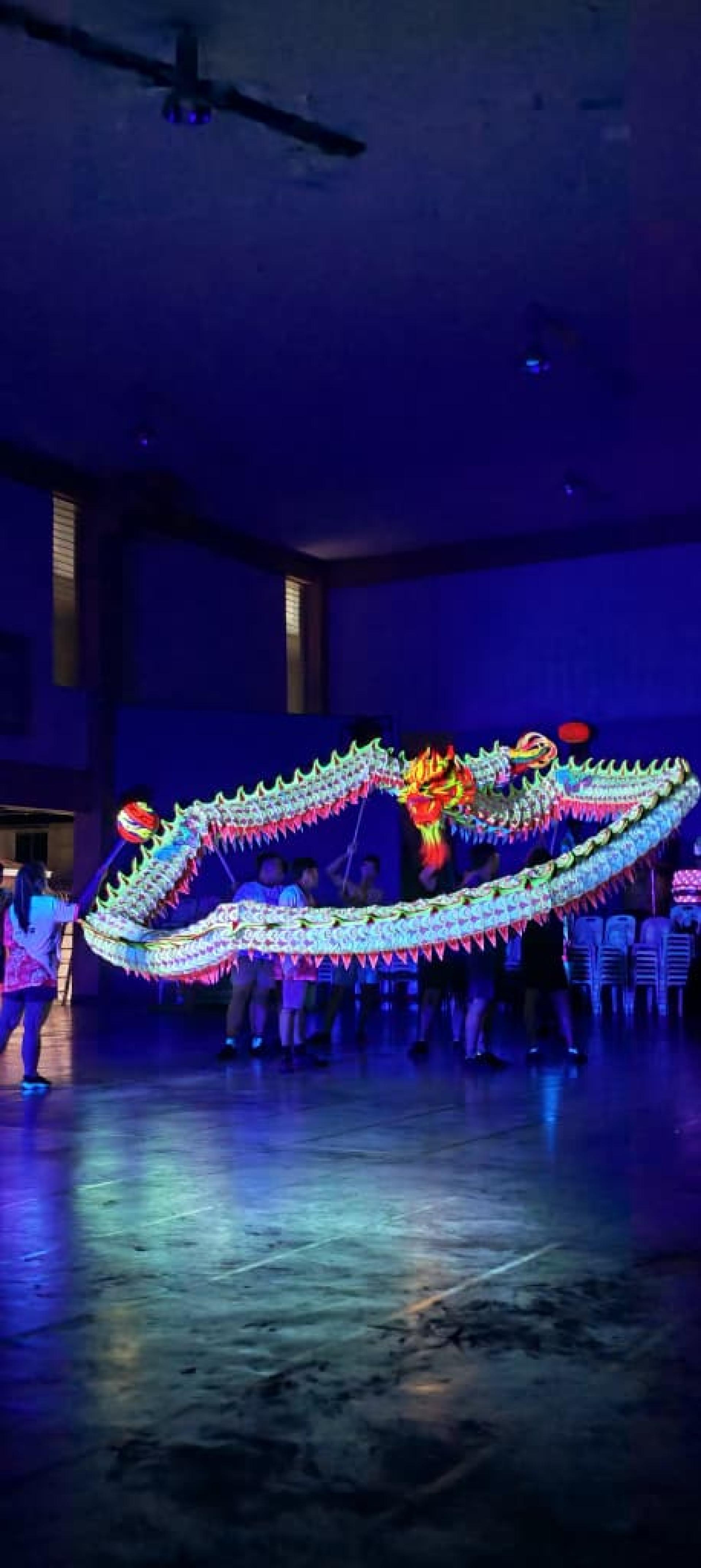 萤光龙彩排亮相，灯光与舞动交织，展现青春活力与创意。