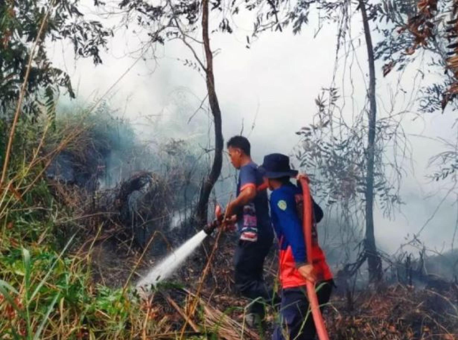 消防人员于2024年在东加里曼丹省北帕纳扬帕塞尔县帕纳扬区，奋力扑灭一场林地与泥炭地大火。 （示意图 ）