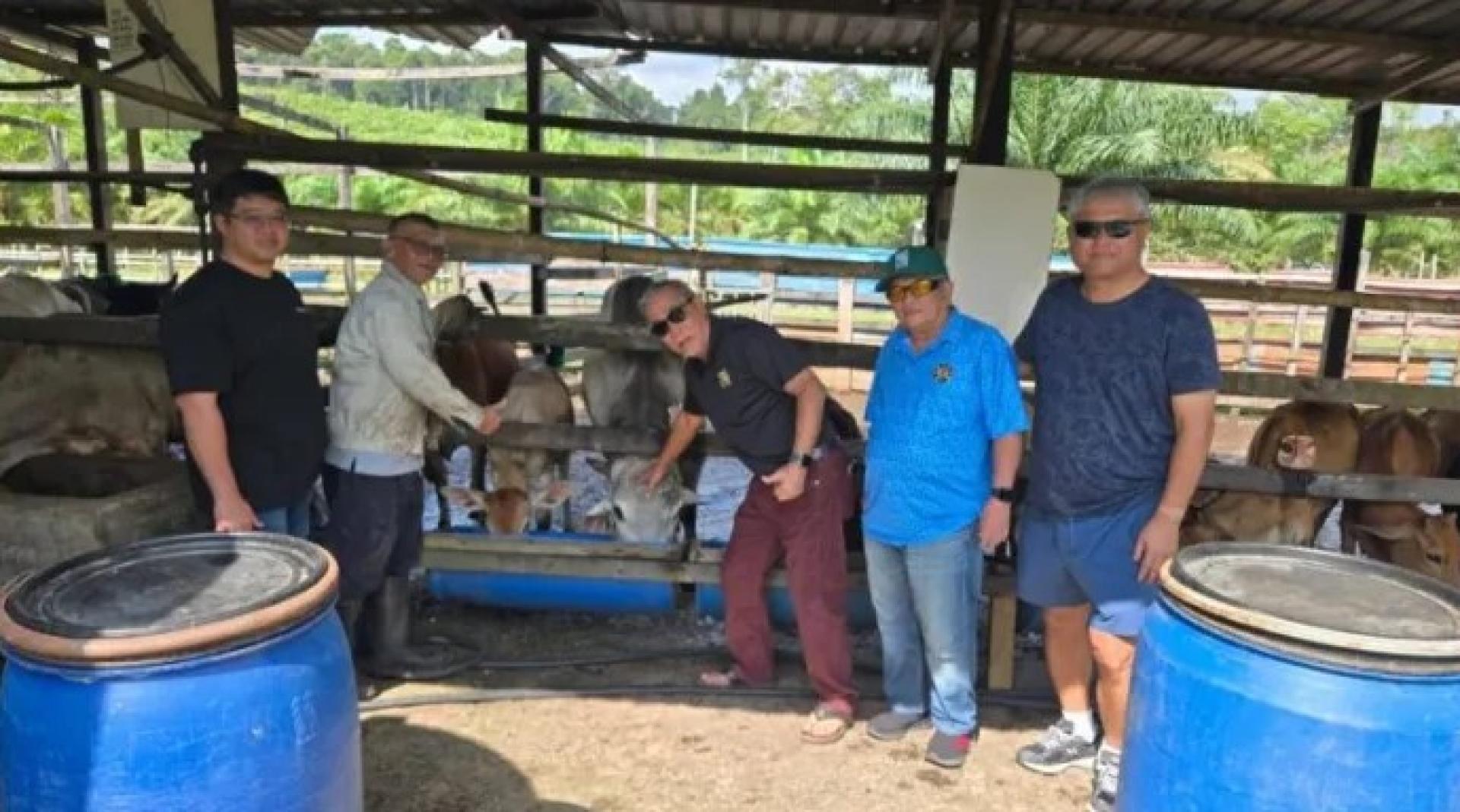连达立（右3）参观阿末杰里农场，展示利用自制天然饲料开展可持续养牛的做法。