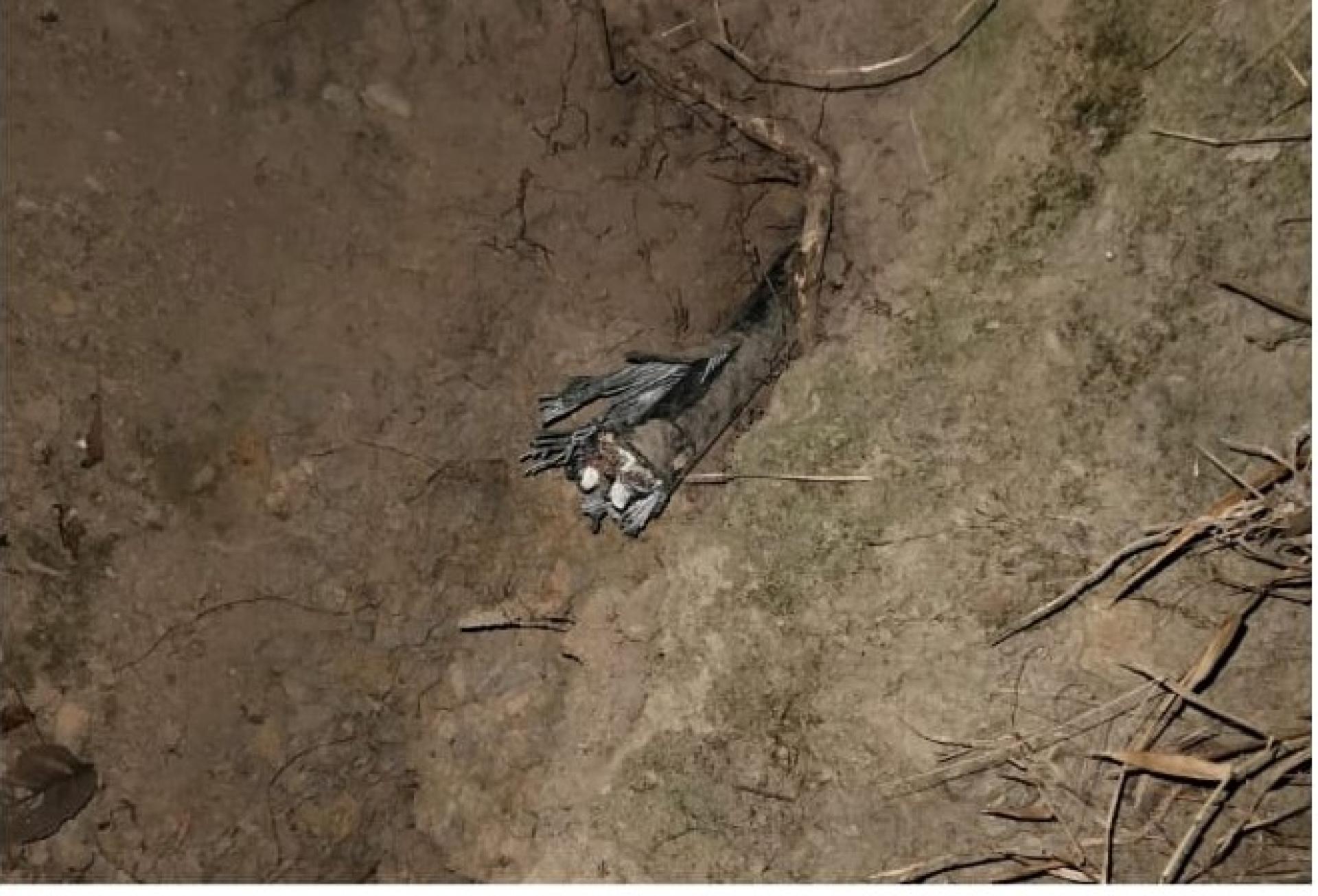 违规者破坏电缆导致电力供应中断