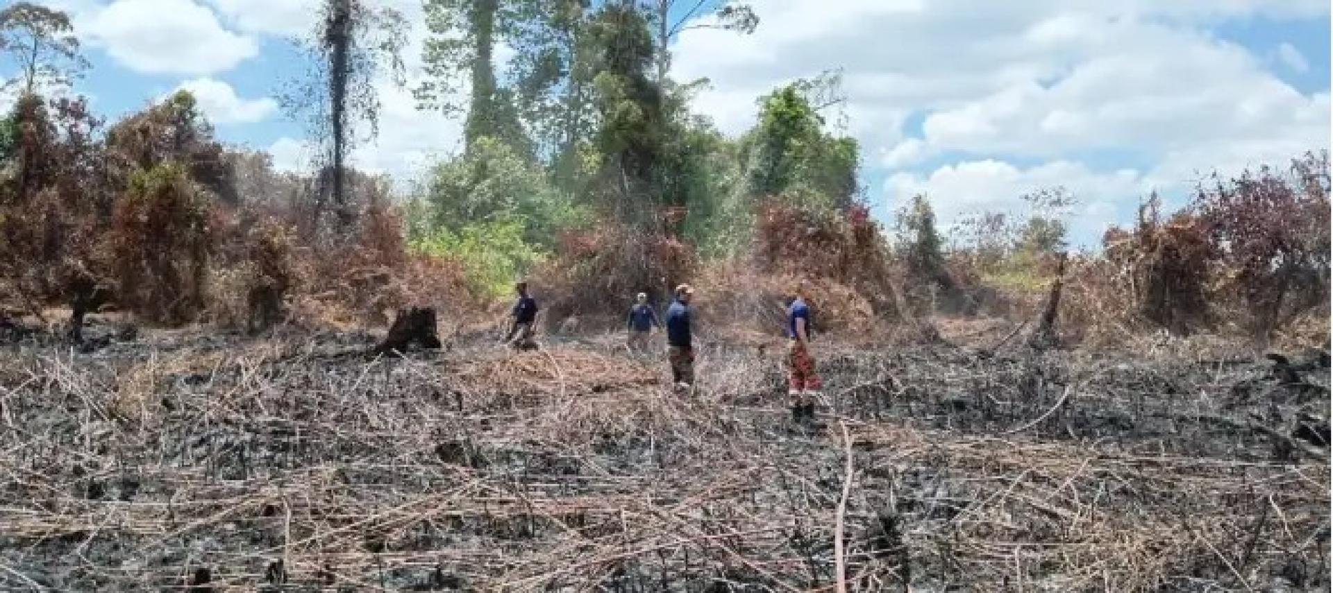 达罗及邻近地区消拯员在甘榜柏纳苏展开灭火行动，历经八天成功全面控制泥炭地火势。