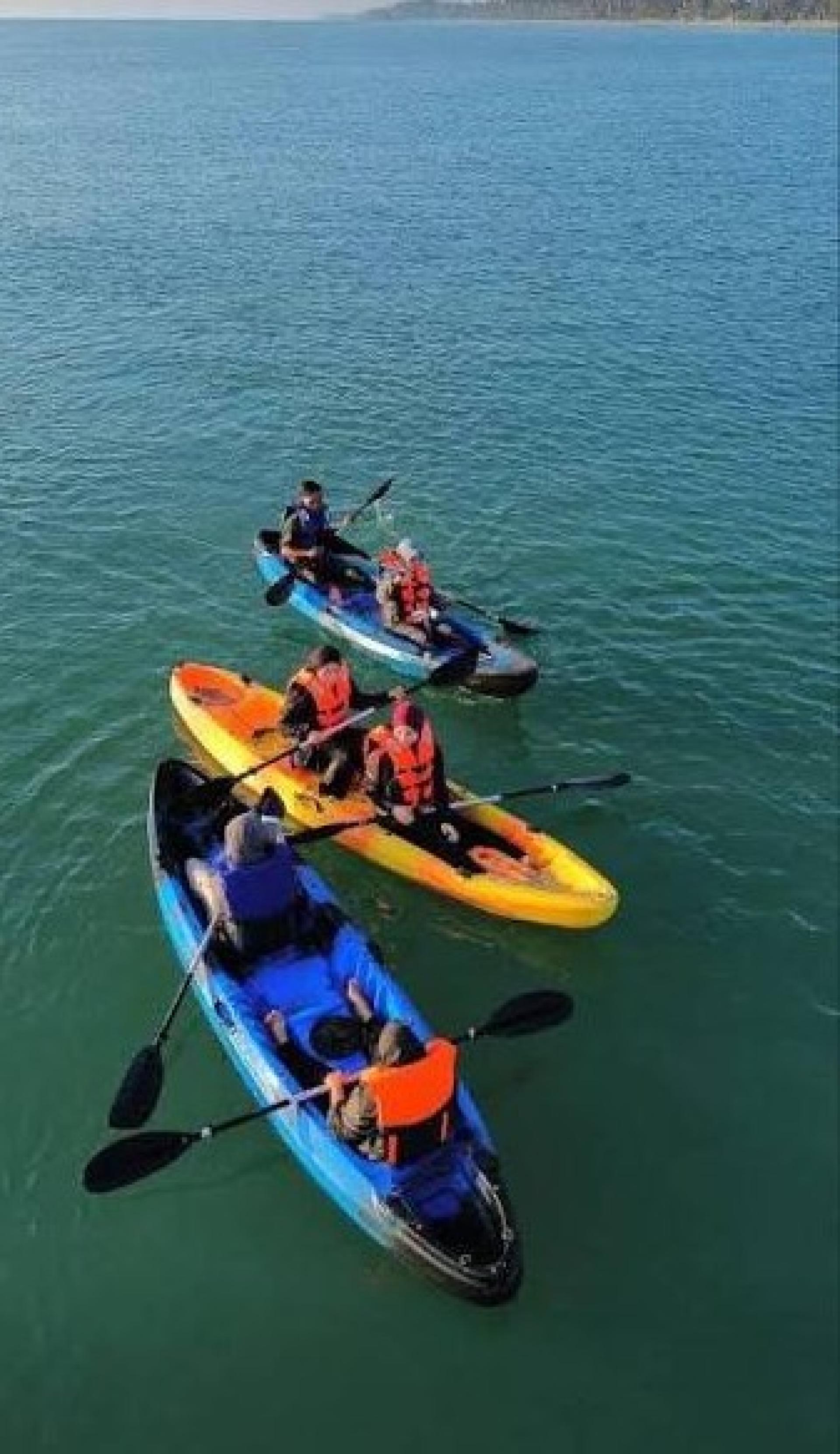 教育总监已发出紧急指示，即日起暂停所有具风险或涉及水上活动的项目，直至另行通知，以保障学生安全。（示意图。）