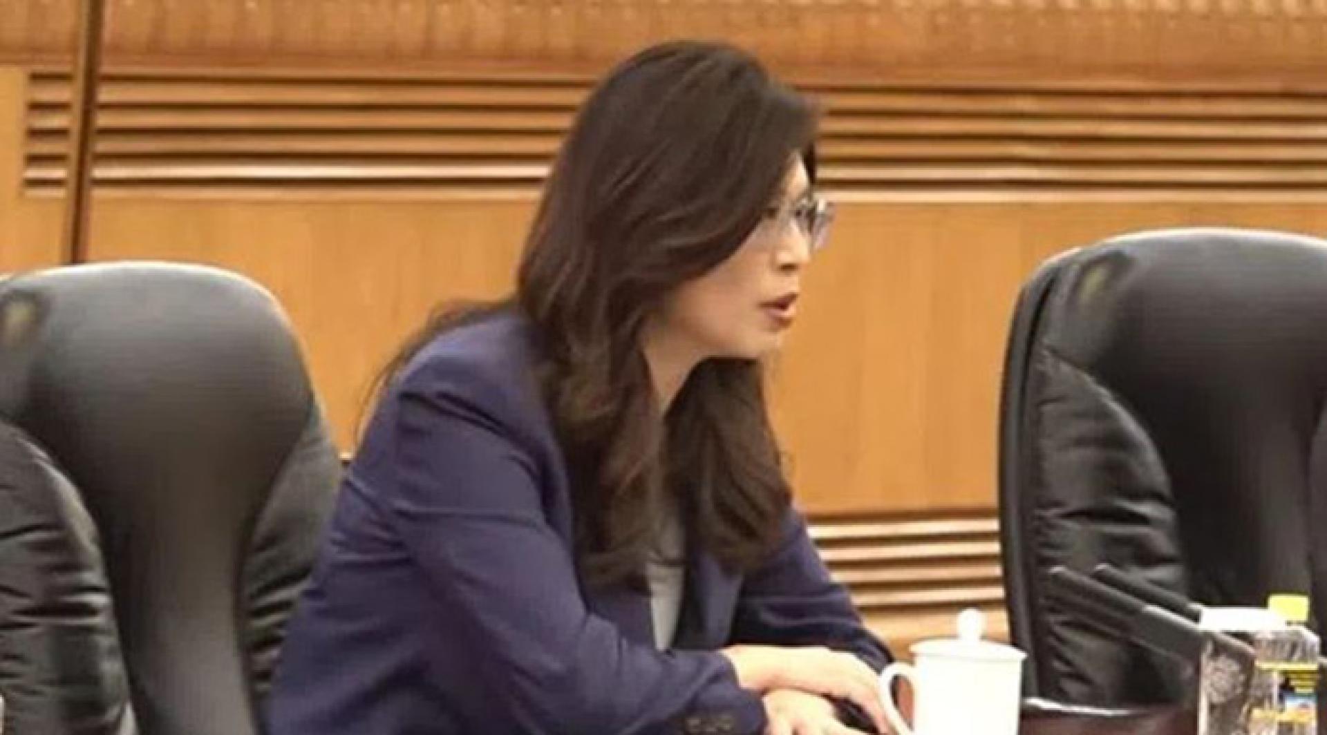 郑丽文与习近平会面时发表讲话。 （TVBS新闻网视频截屏）