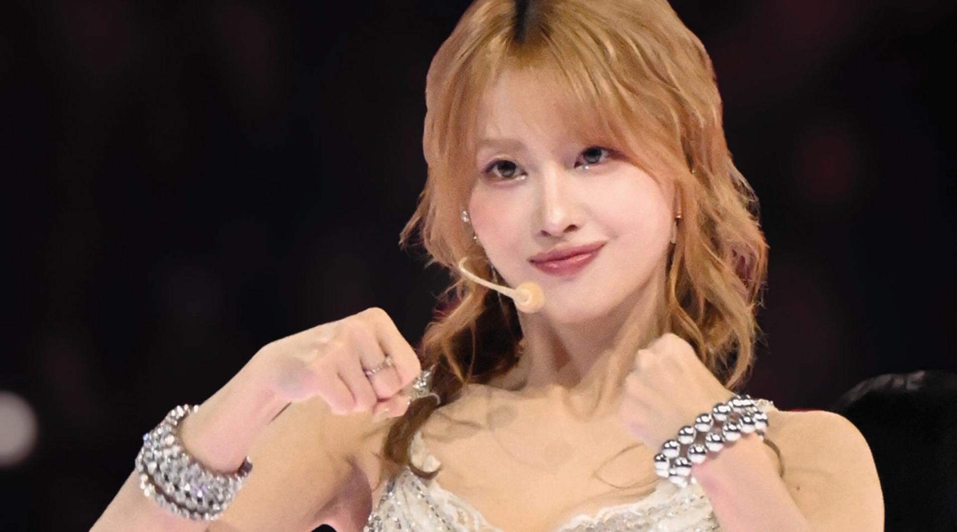 Momo在芝加哥拔牙。