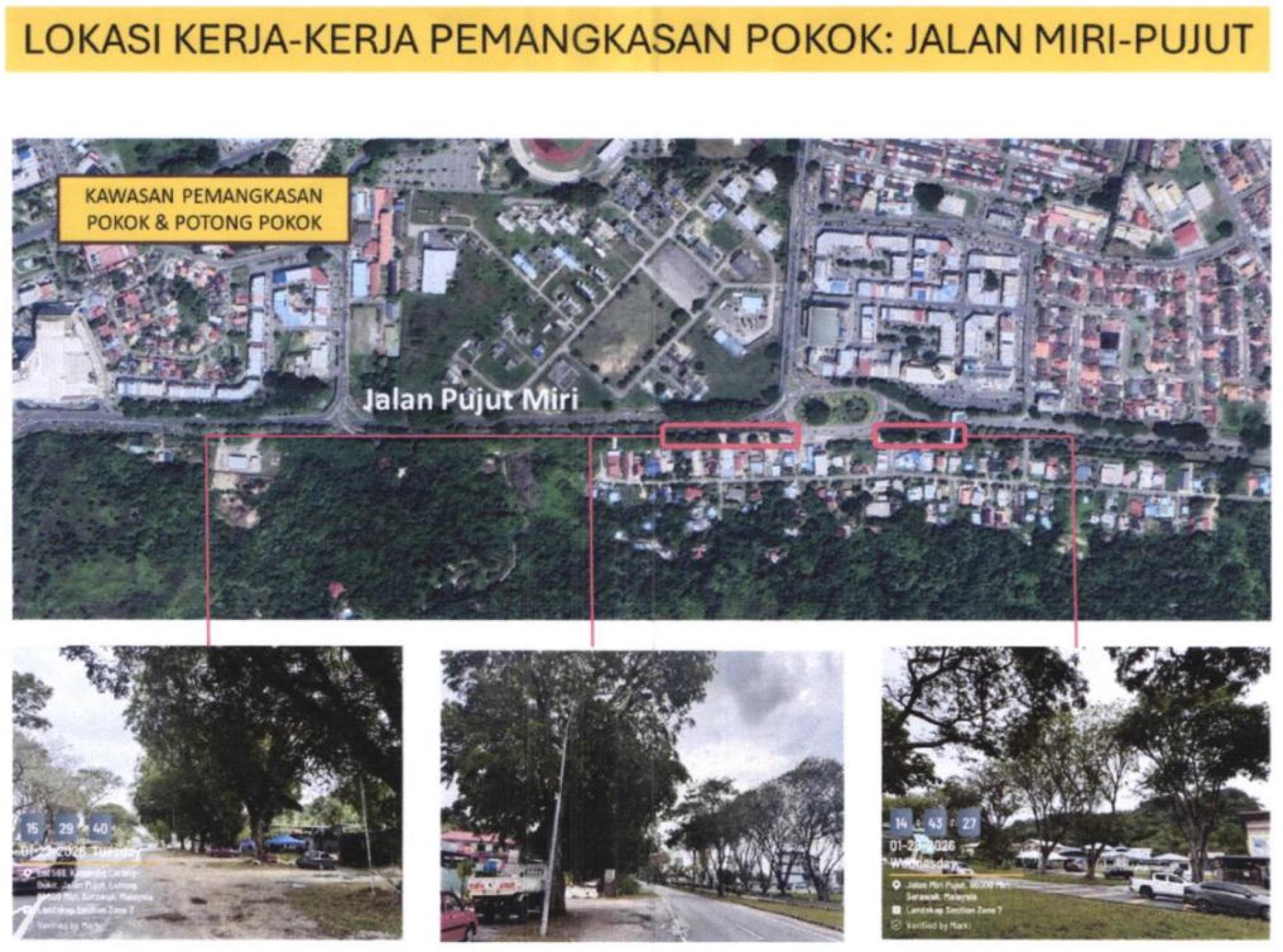 美里市政局发布通告，将于4月14日至22日在美里埔奕路展开树木修剪工程，提醒公众注意安全。