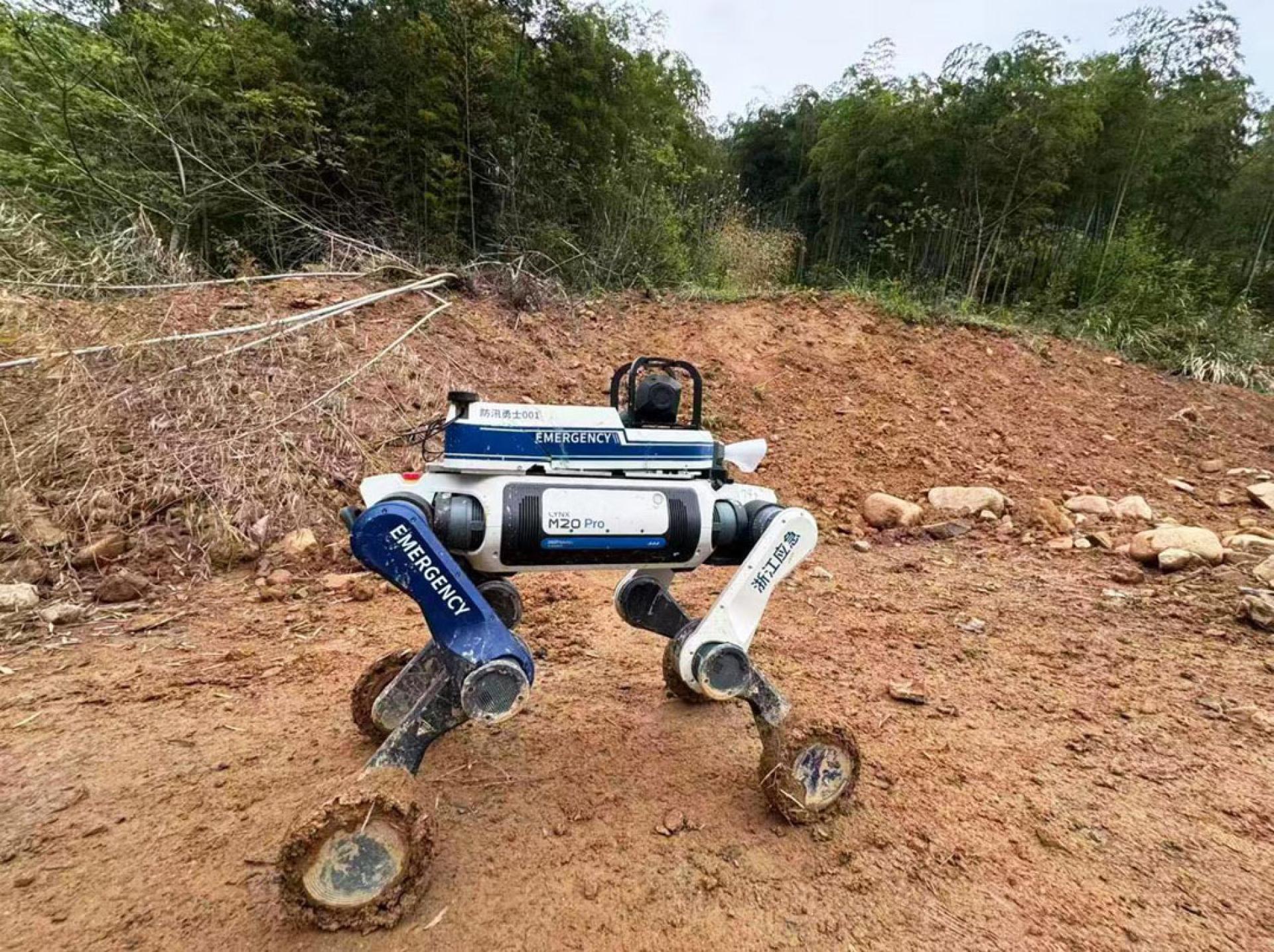 AI防汛勇士（云深处四足机器人山猫M20）亮相地质灾害隐患排查演练。