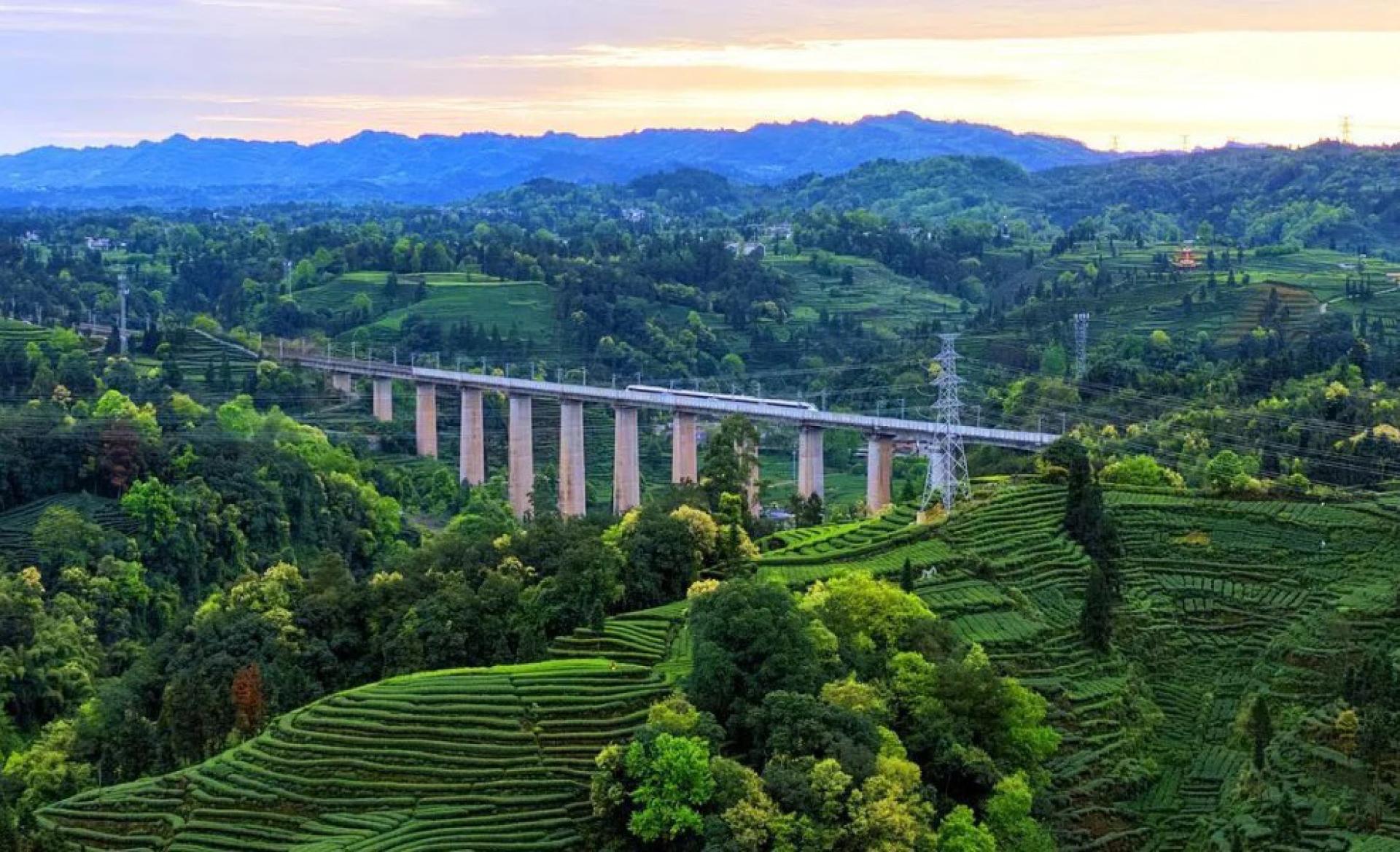 中国五一假期高铁出行需求旺盛。图为高铁驶过四川省雅安市茶山。