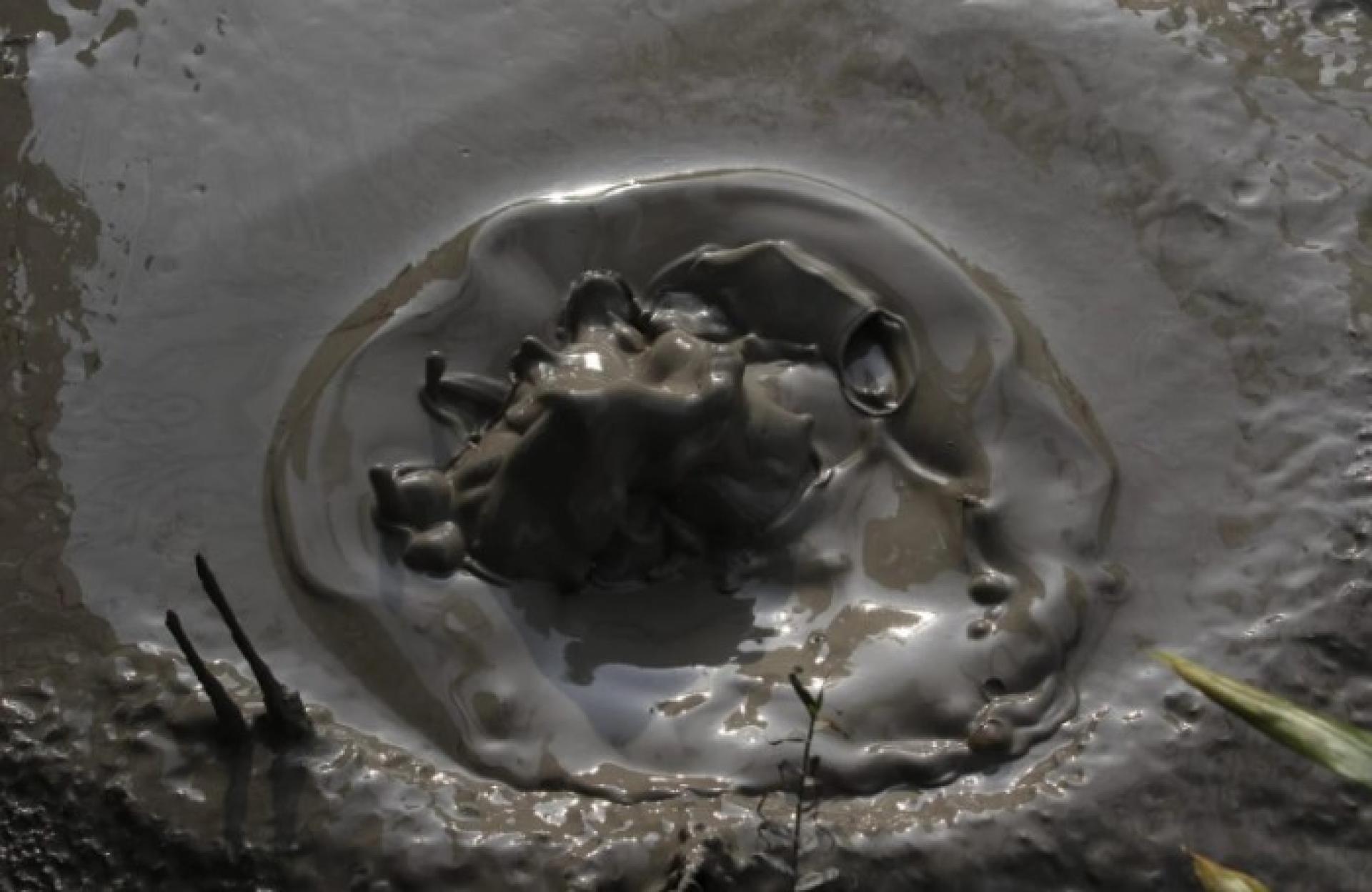 该泥浆地表会缓慢起伏并冒出气泡，兼具观赏与地质学习价值，也被视为自然科学教育的重要场所，适合学生及研究人员探索自然现象。