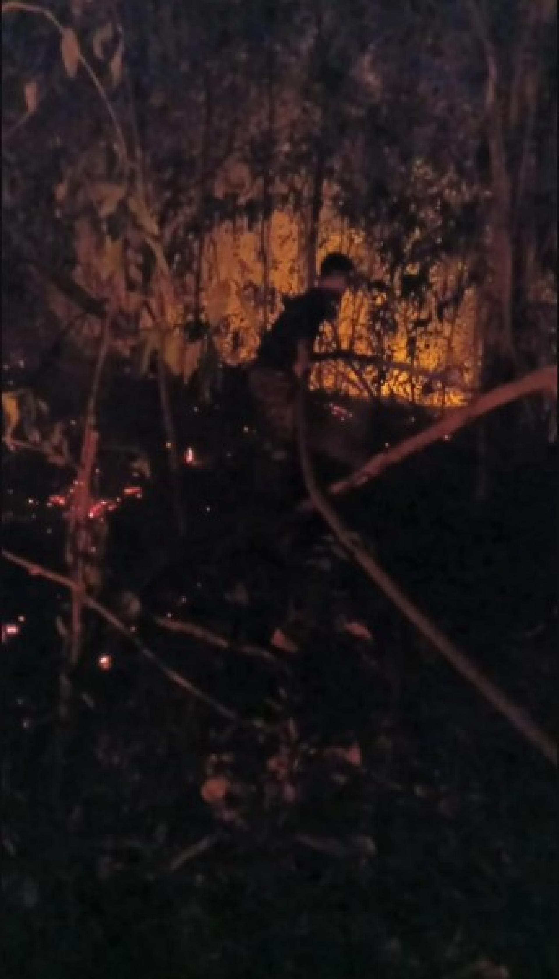 消拯员在现场扑灭灌木火灾。