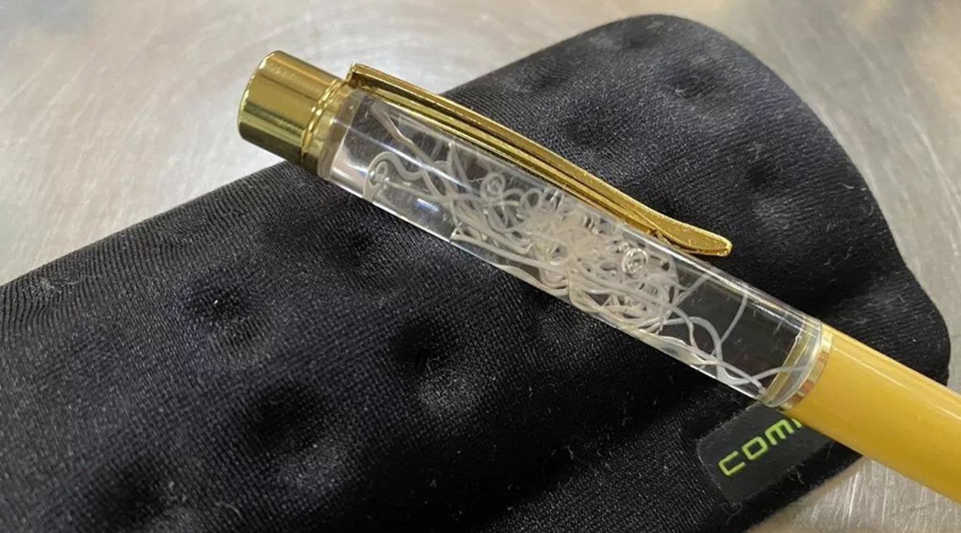 日本高知的“海兽胃线虫原子笔”。